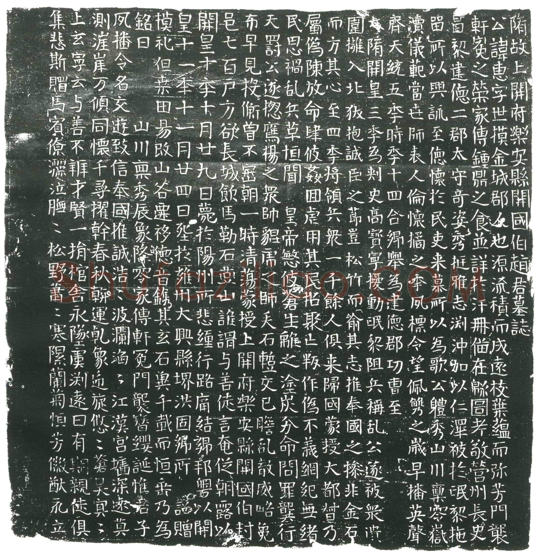 隋 叱奴辉 叱奴辉妻贺遂氏 墓誌