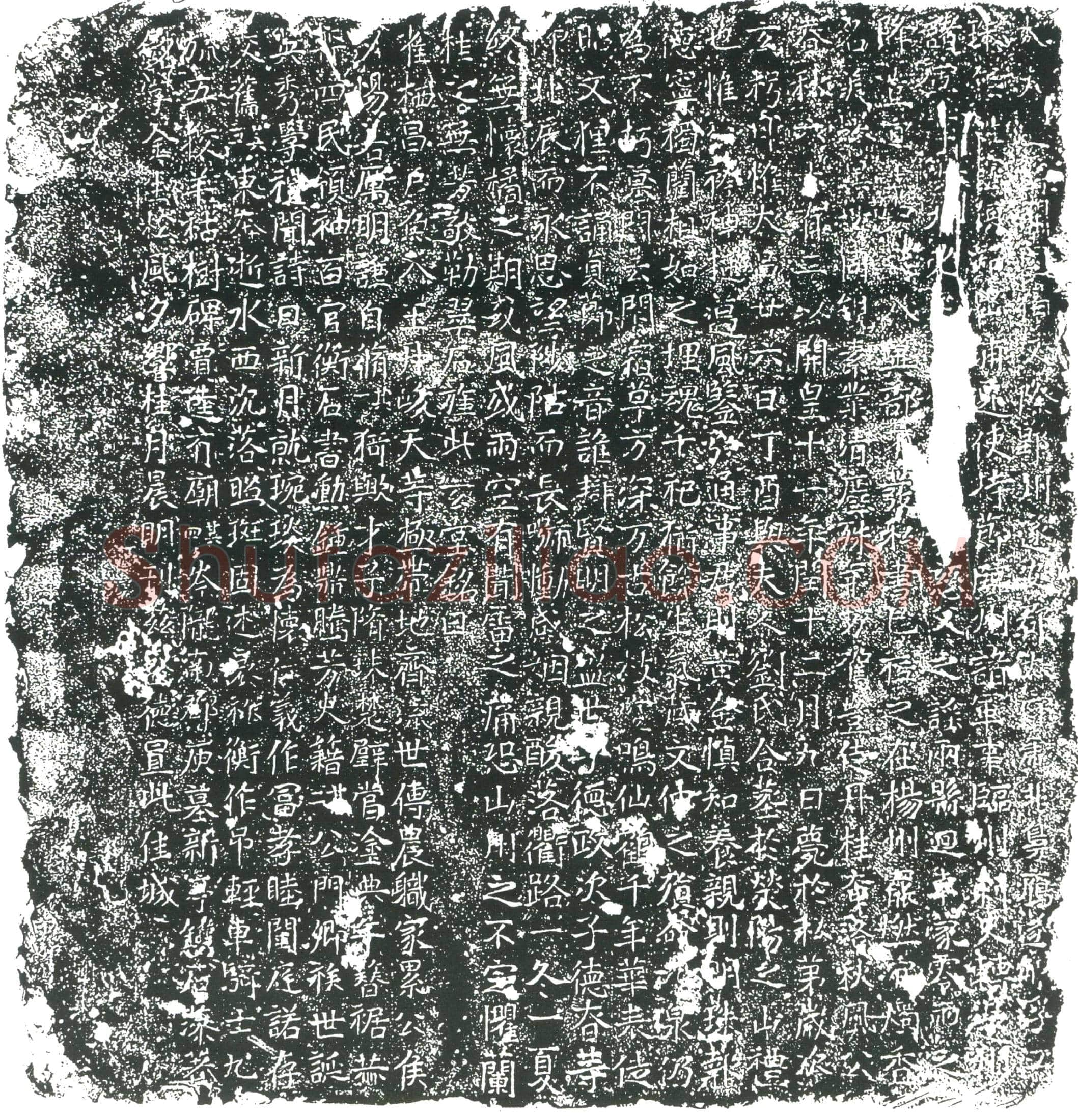 隋郑道育；郑道育妻刘氏墓誌