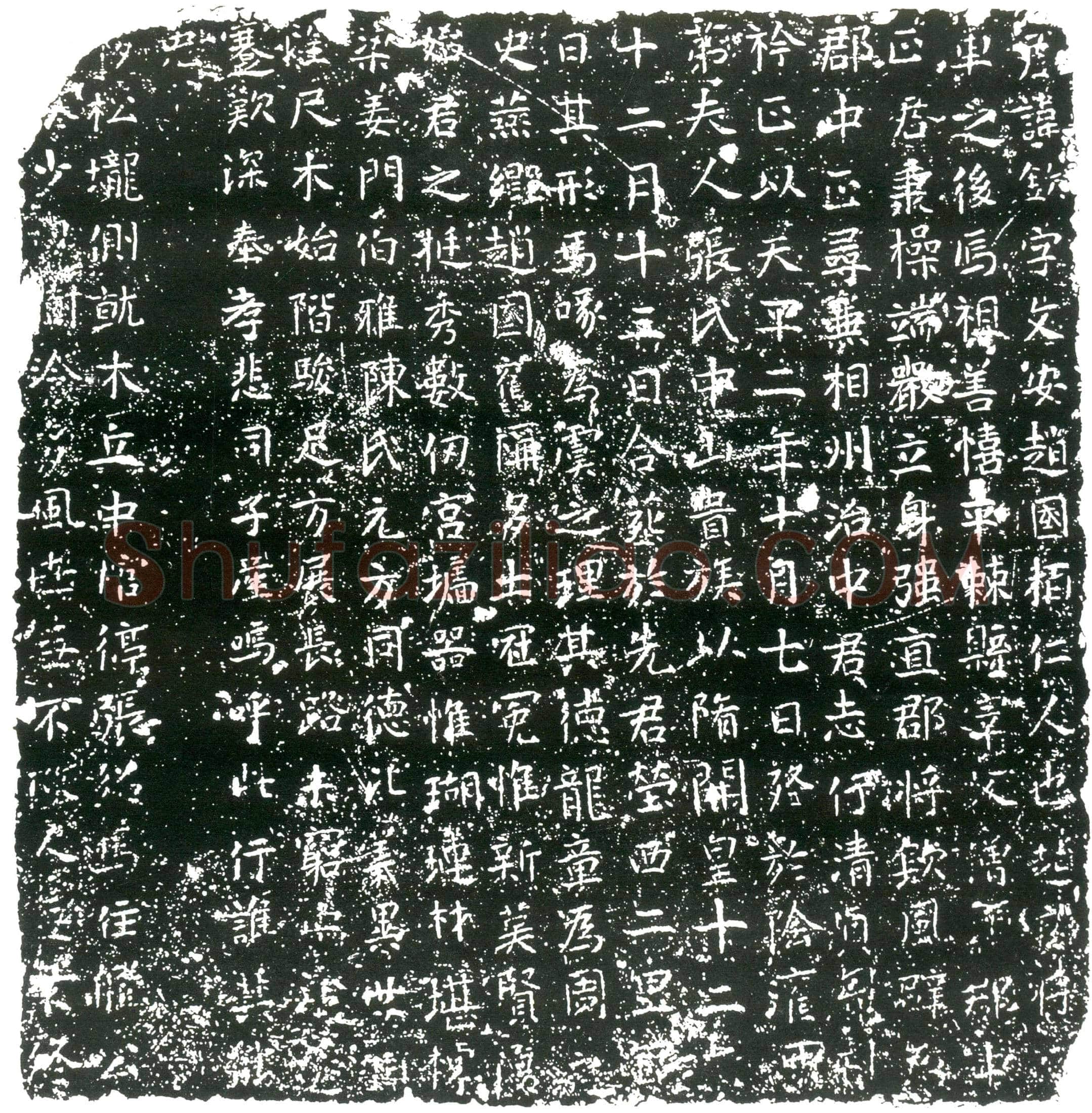 隋 张协 墓誌