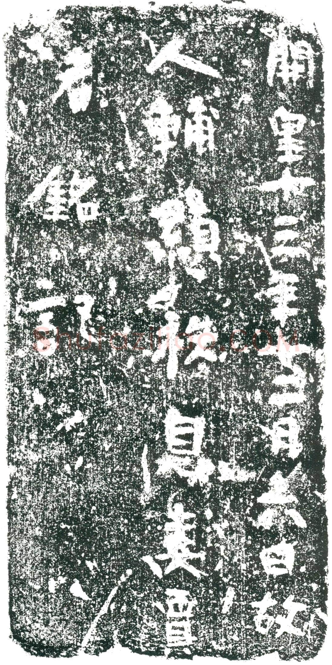 隋辅显祑妻买氏墓誌