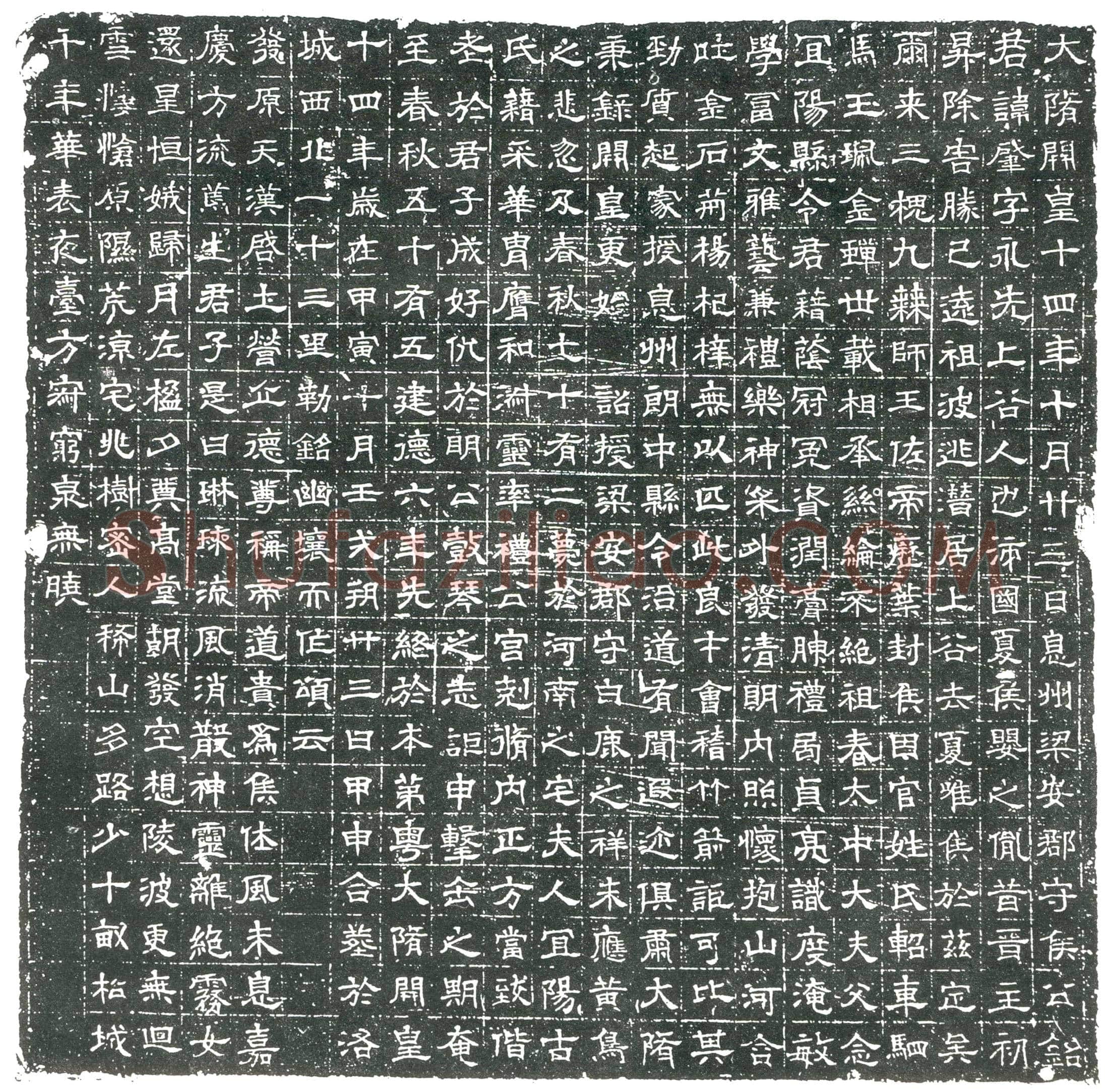 隋侯肇；侯肇妻古氏墓誌(大隋开皇十四年十月廿三日息州粱安郡守侯公铭)