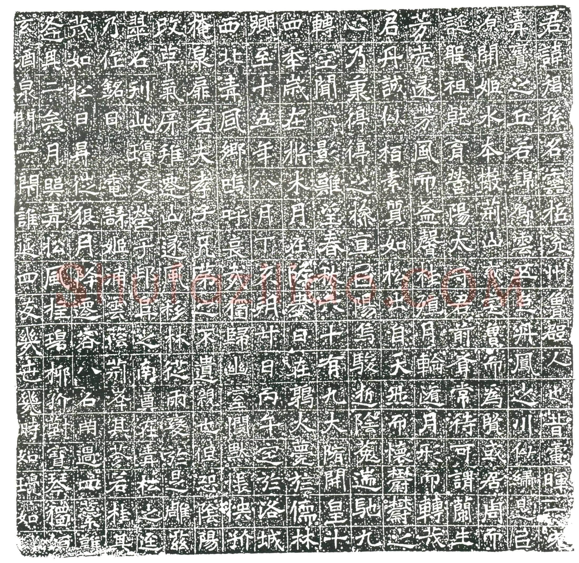 隋 元渠姨 墓誌