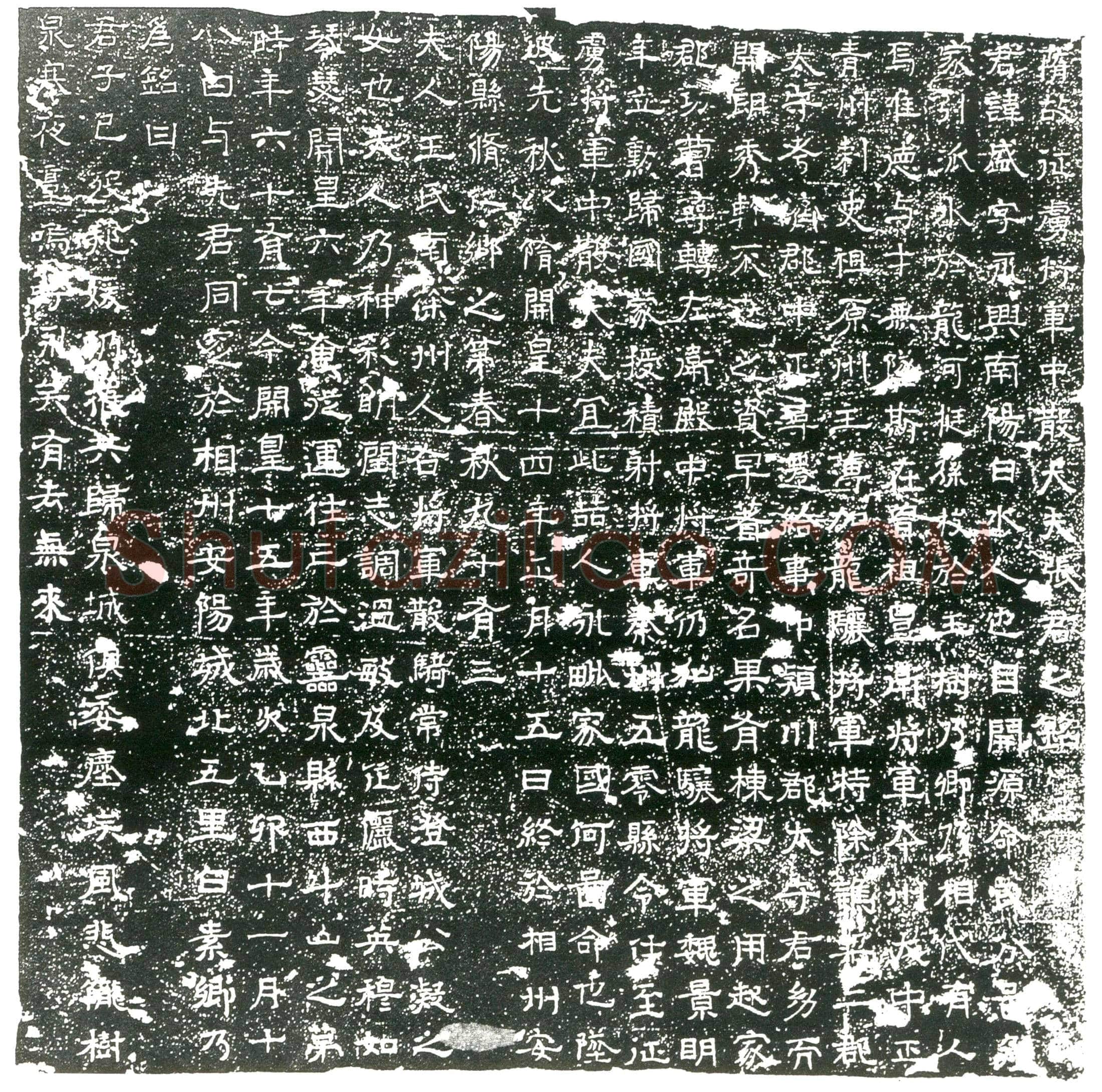 隋张盛；张盛妻王氏墓誌(隋故征虏将军中散大夫账君之铭)