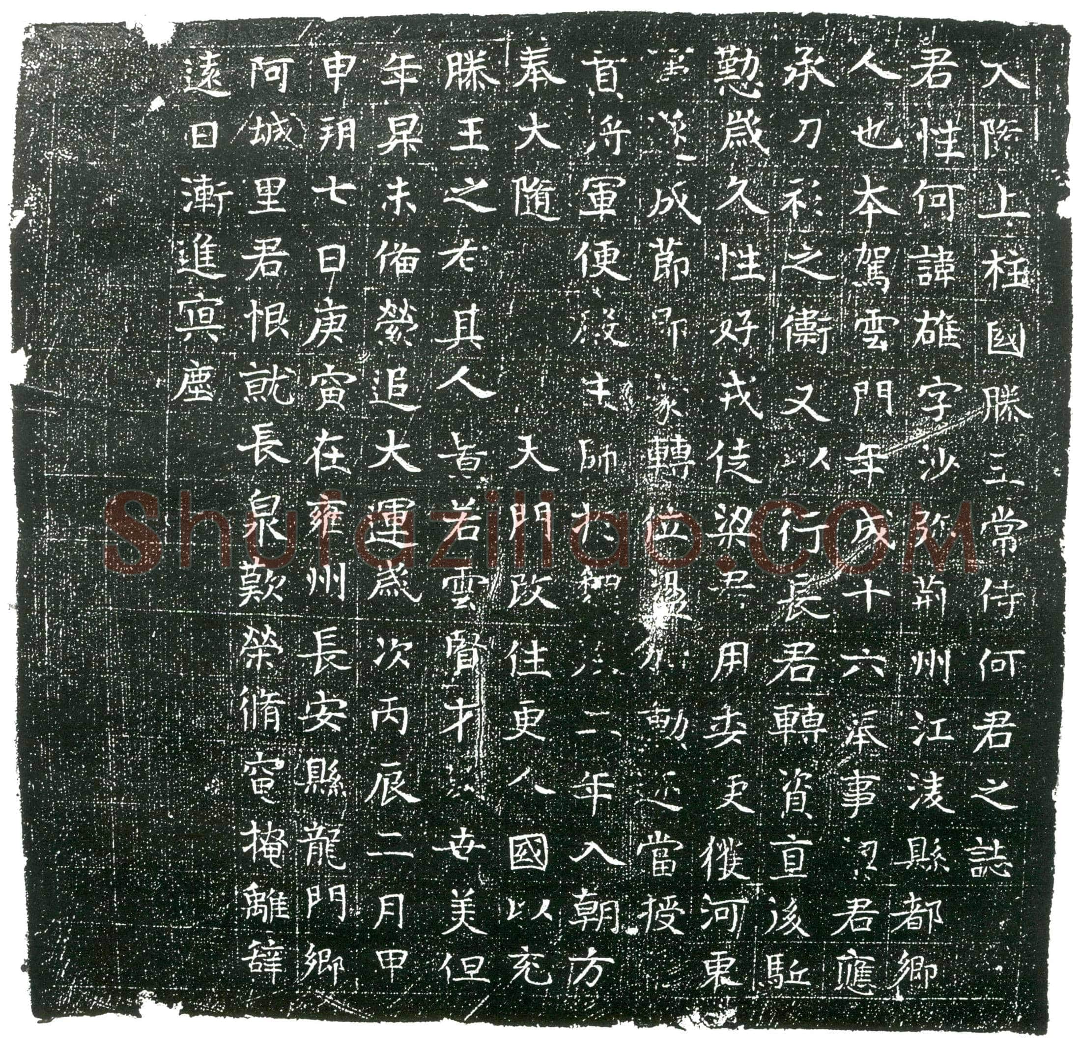 隋 崔娄诃 墓誌