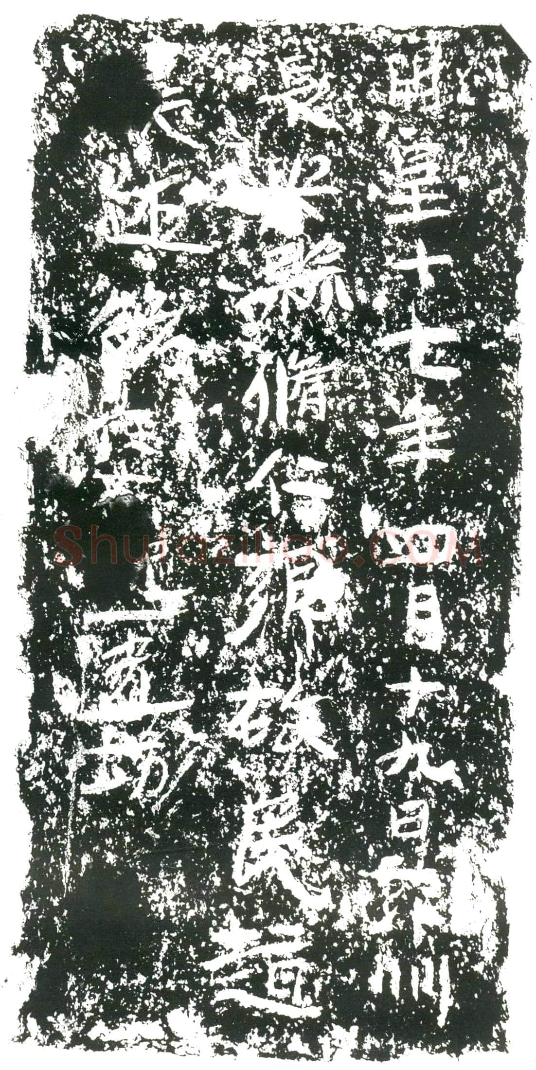 隋 谢成 谢成妻李氏 墓誌