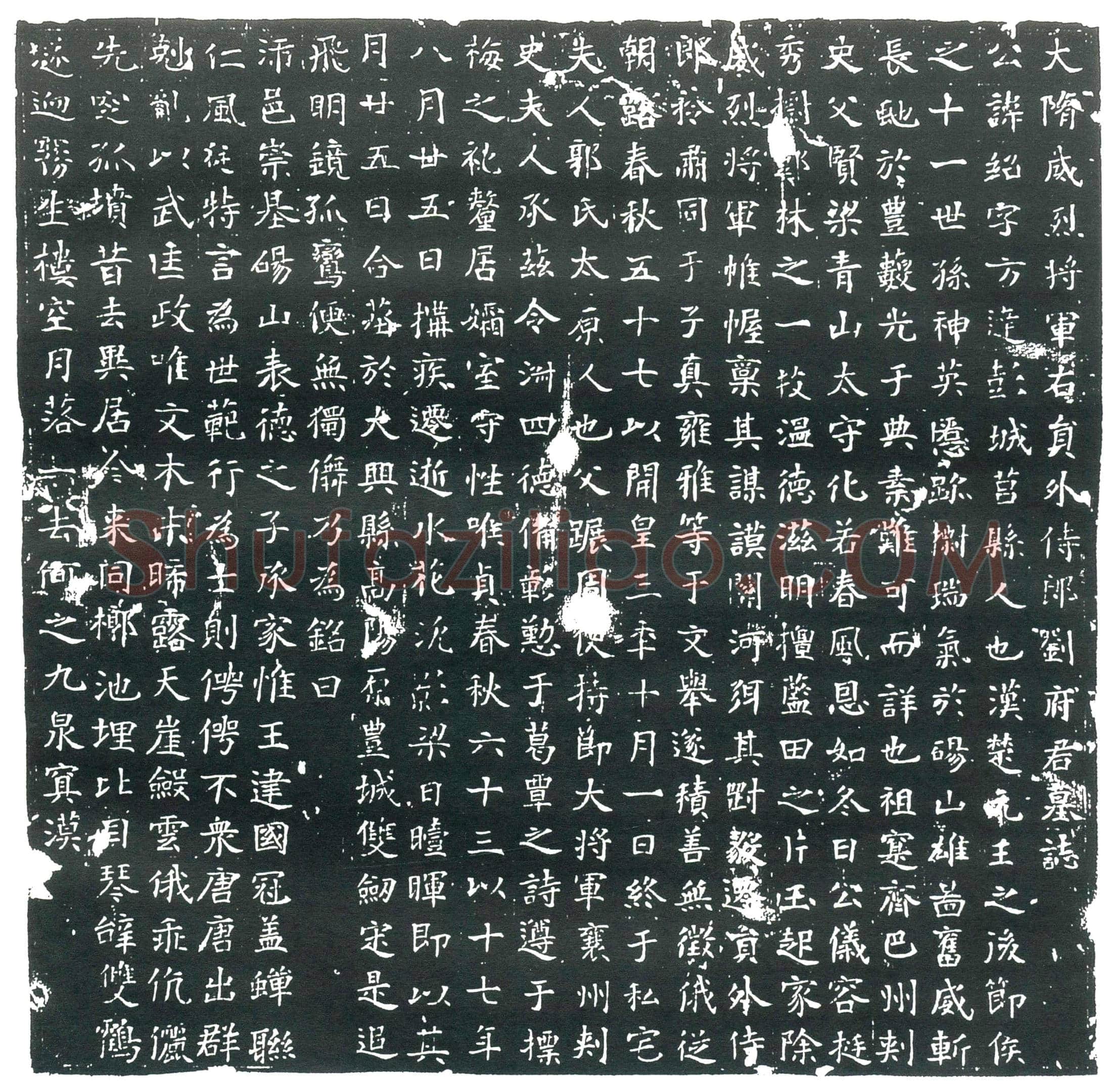 隋 杨士贵 墓誌