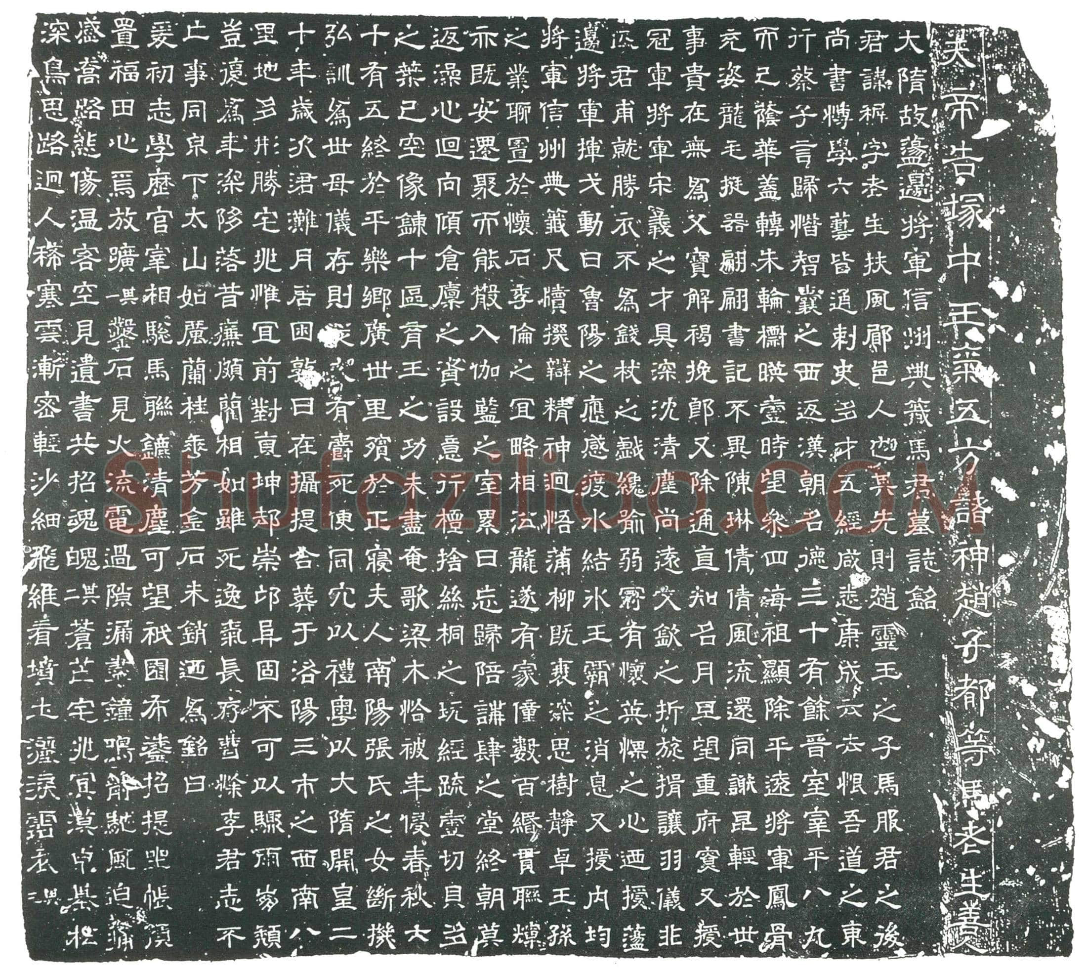 隋 鲁阿鼻 墓誌