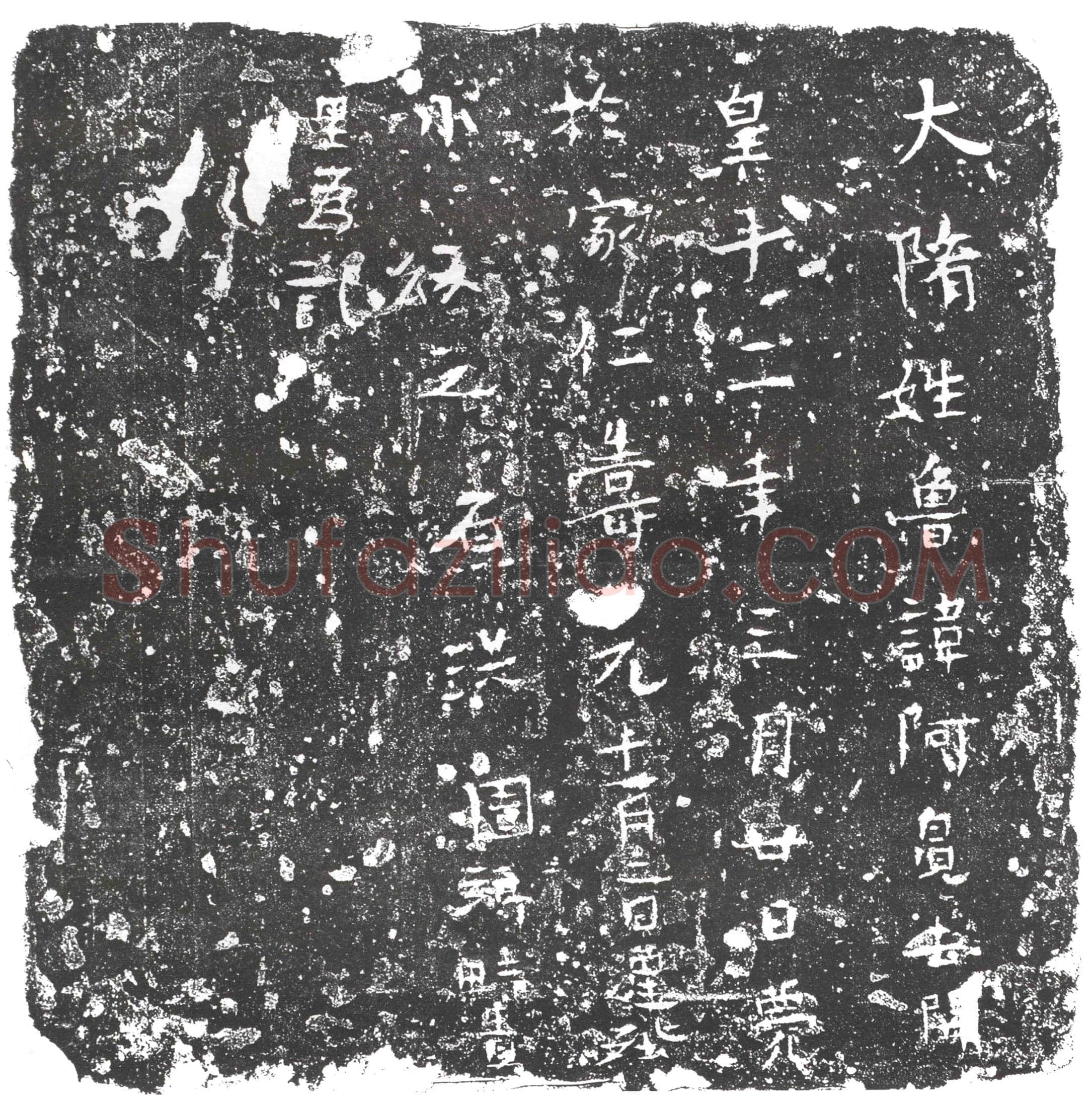 隋 张伏奴 墓誌