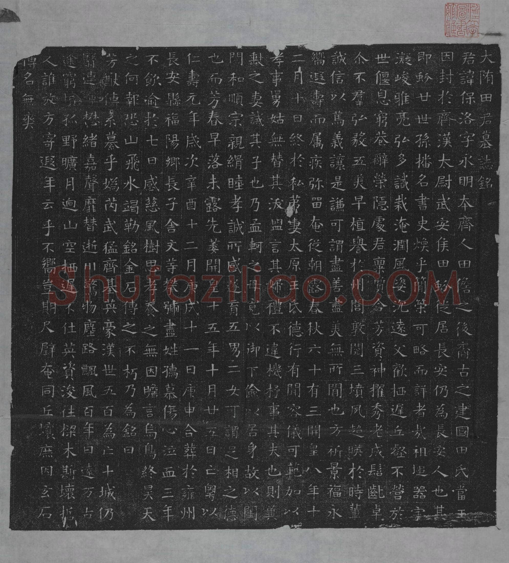 隋 杨元 墓誌
