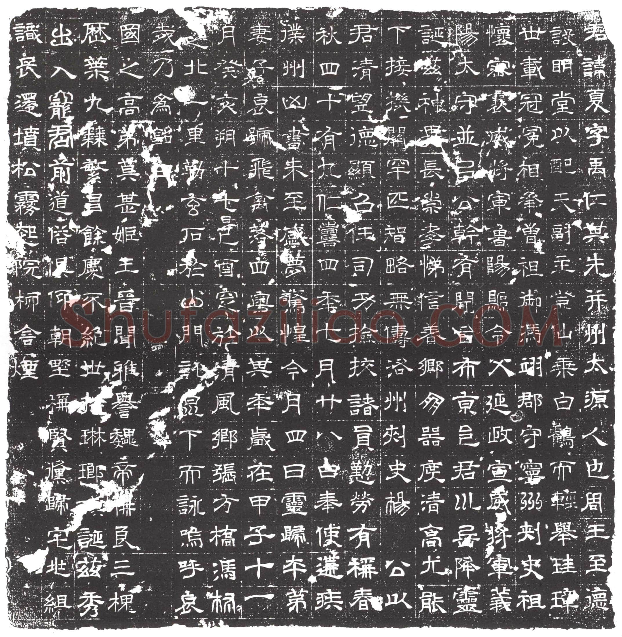 隋 杨君 墓誌