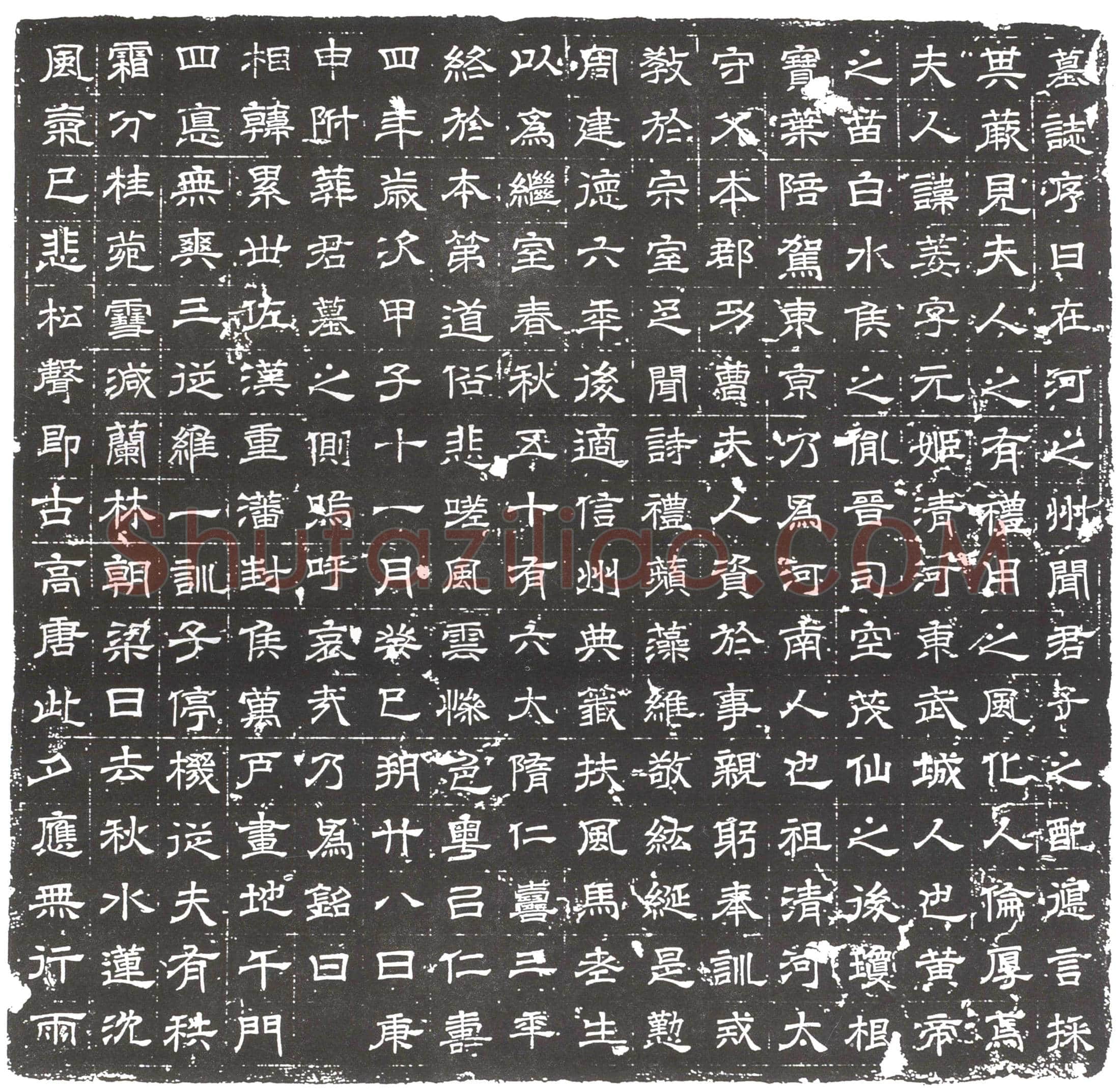 隋张姜墓誌
