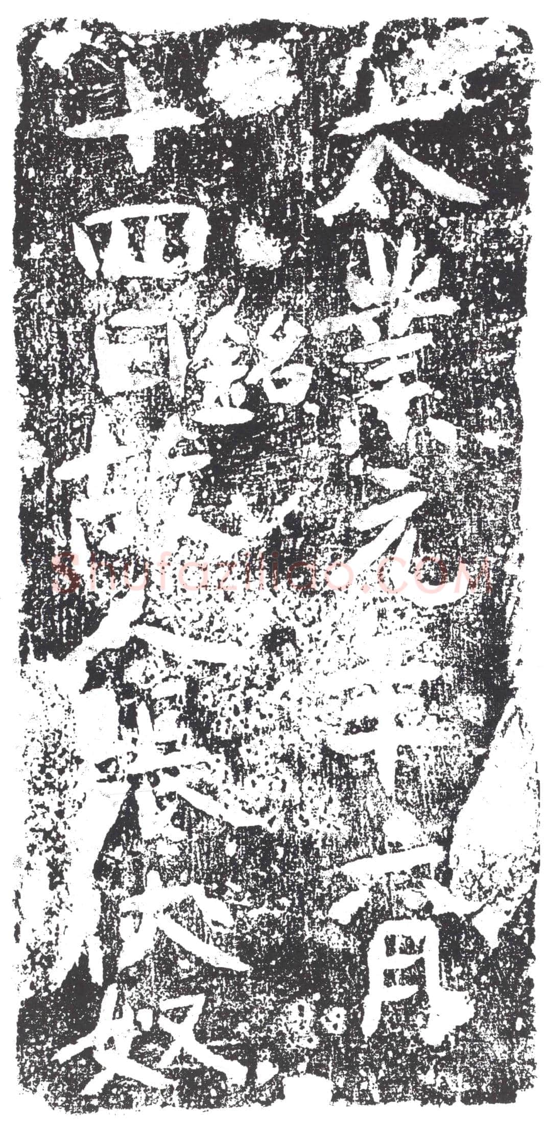 隋张伏奴墓誌