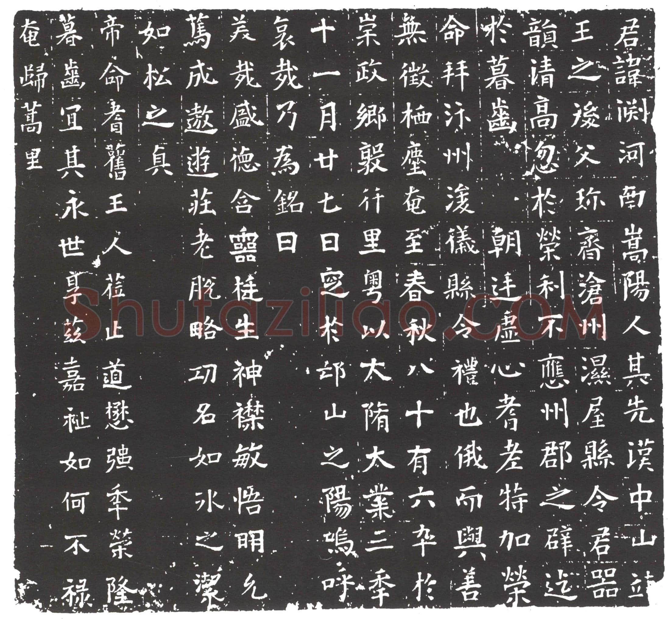 隋 羊玮 墓誌