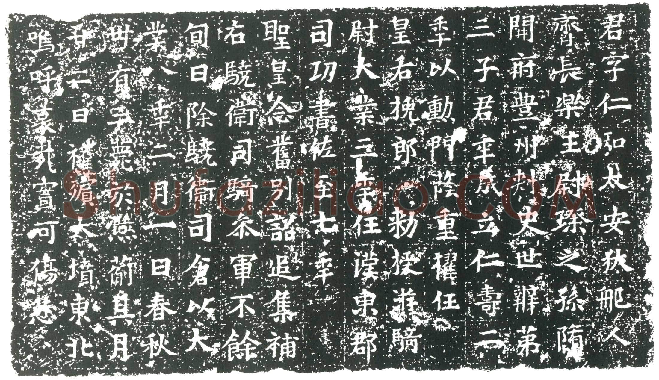 隋尉仁弘墓誌