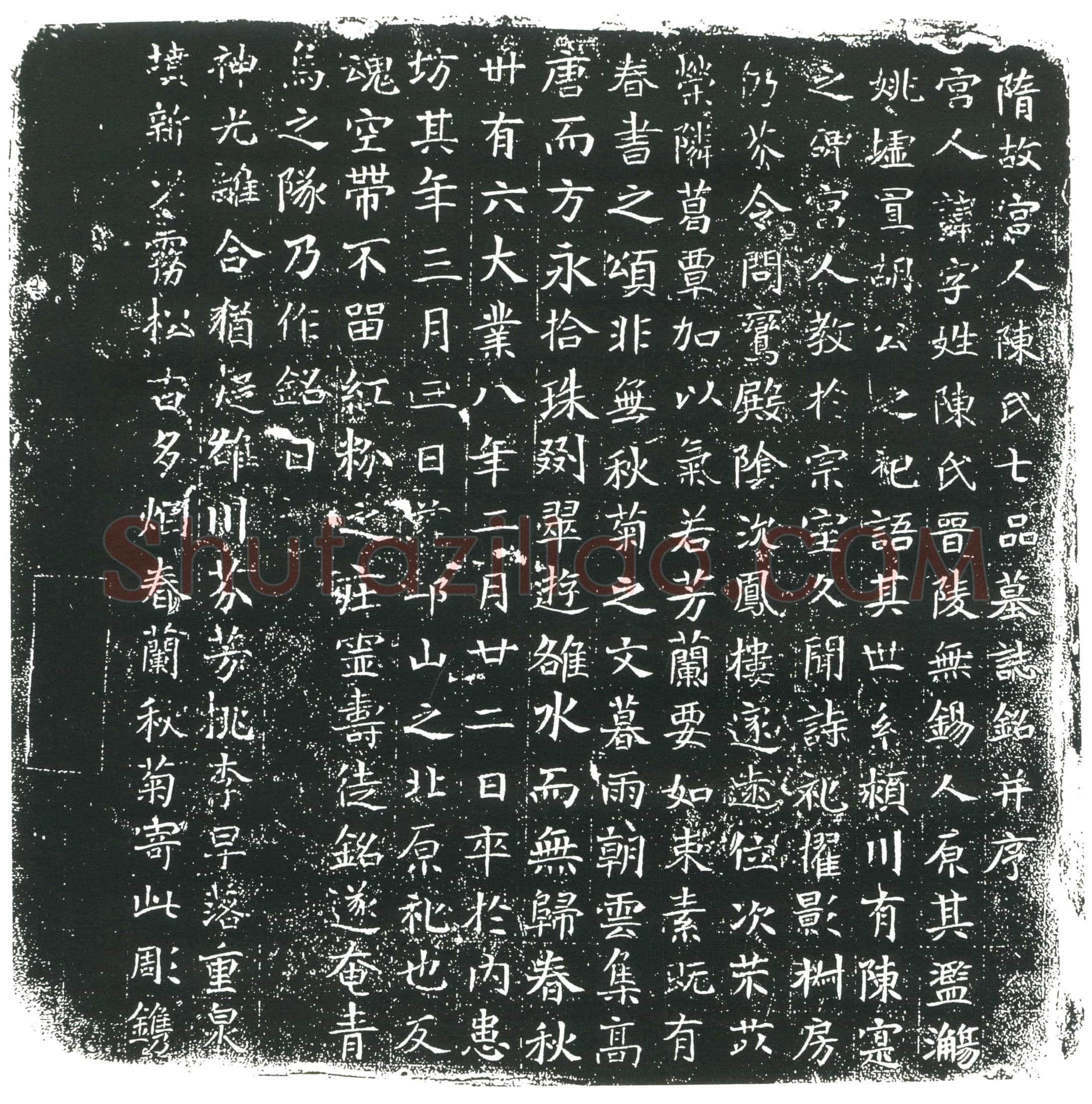 隋 徐纯 徐纯妻王氏 墓誌