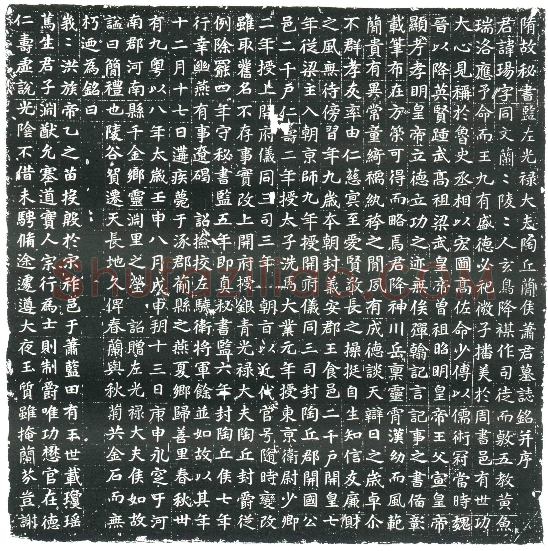 隋 宋仲 宋仲妻刘氏 墓誌