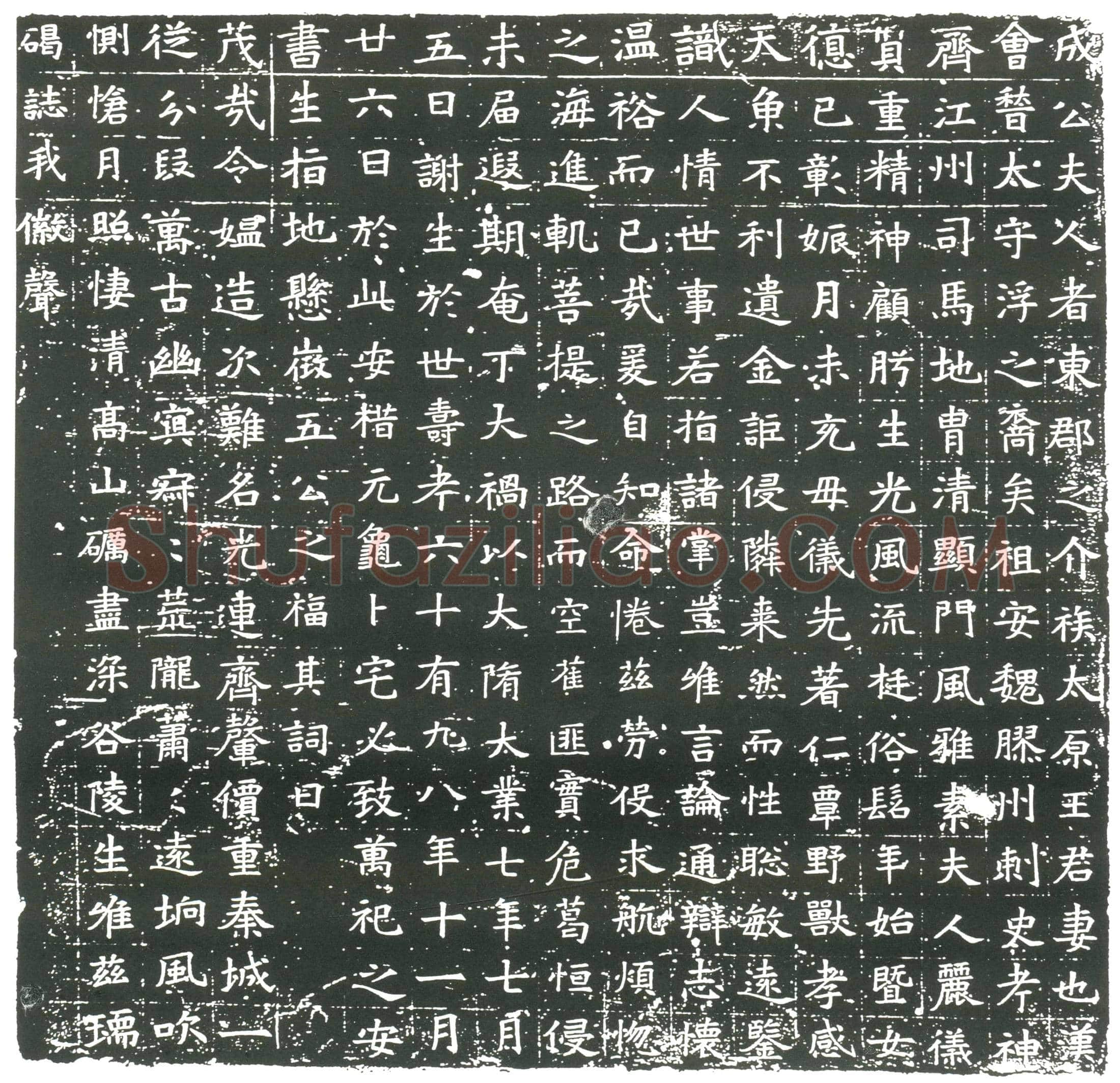隋王君妻成公氏墓誌