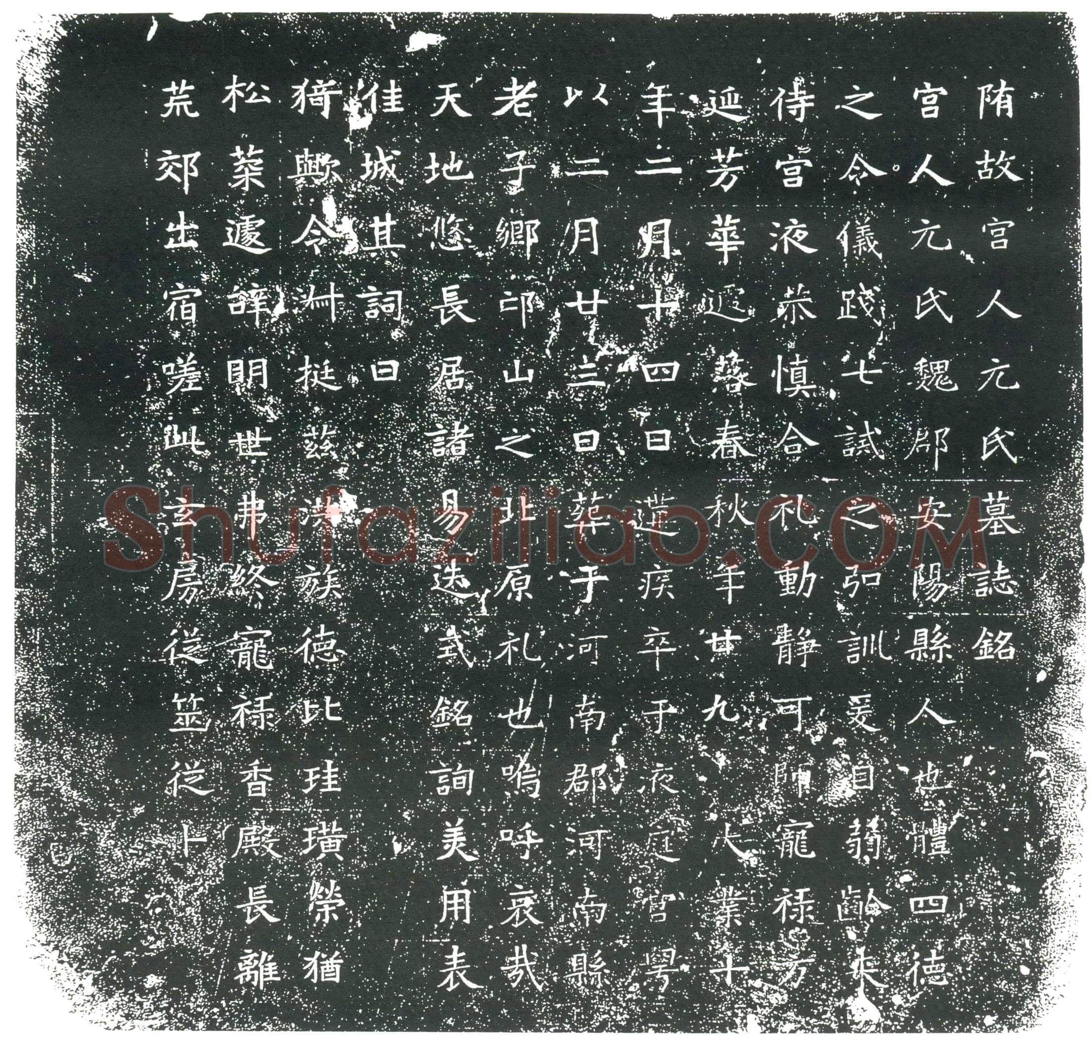 隋 卫美 墓誌