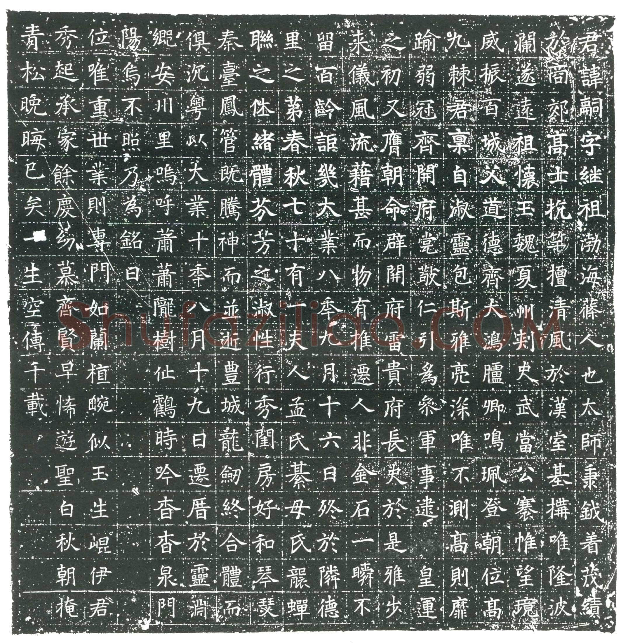 隋 张善敬 墓誌