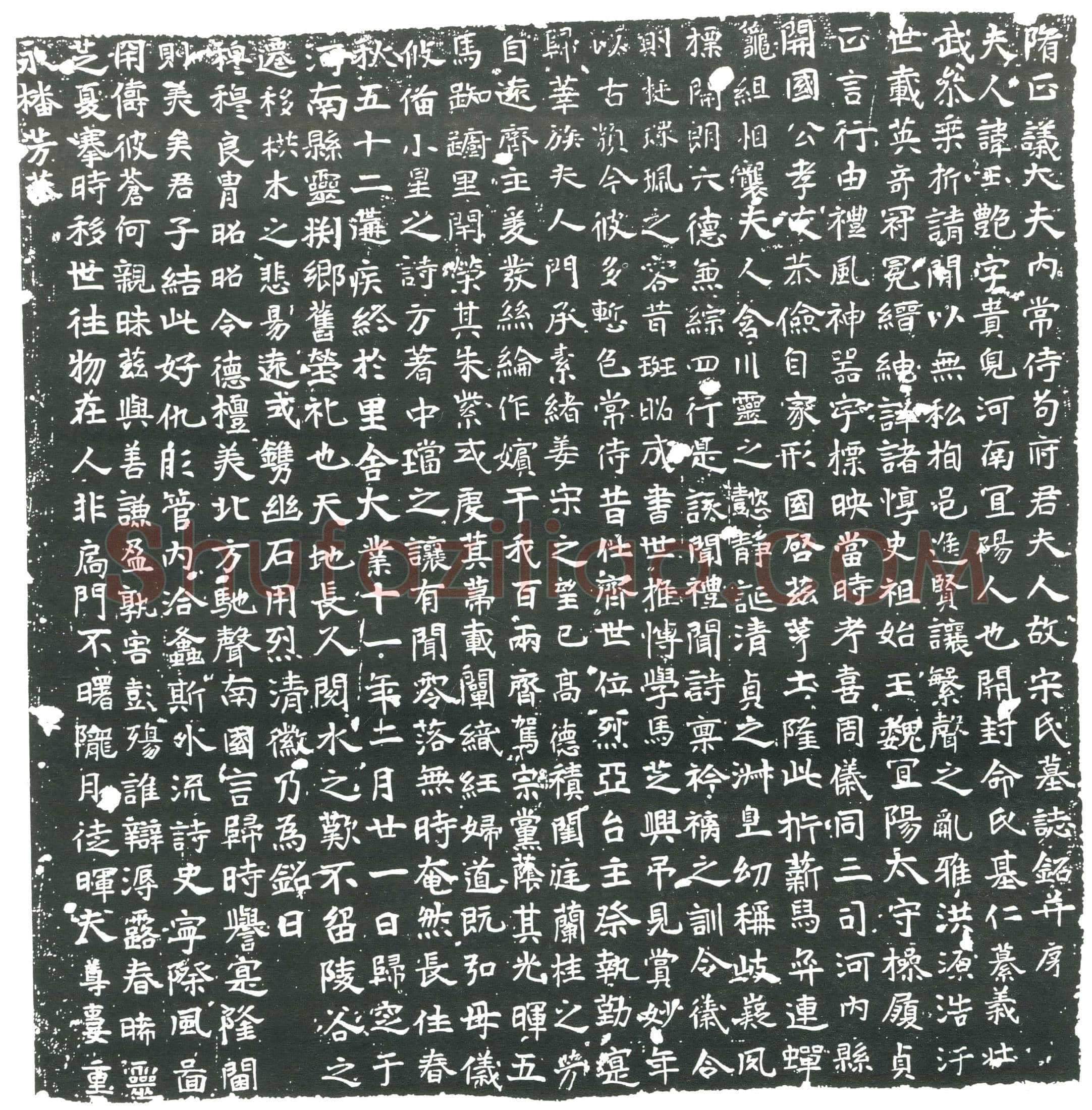 隋宋玉豔墓誌(隋正议大夫内常侍苟府君夫人故宋氏墓誌铭)