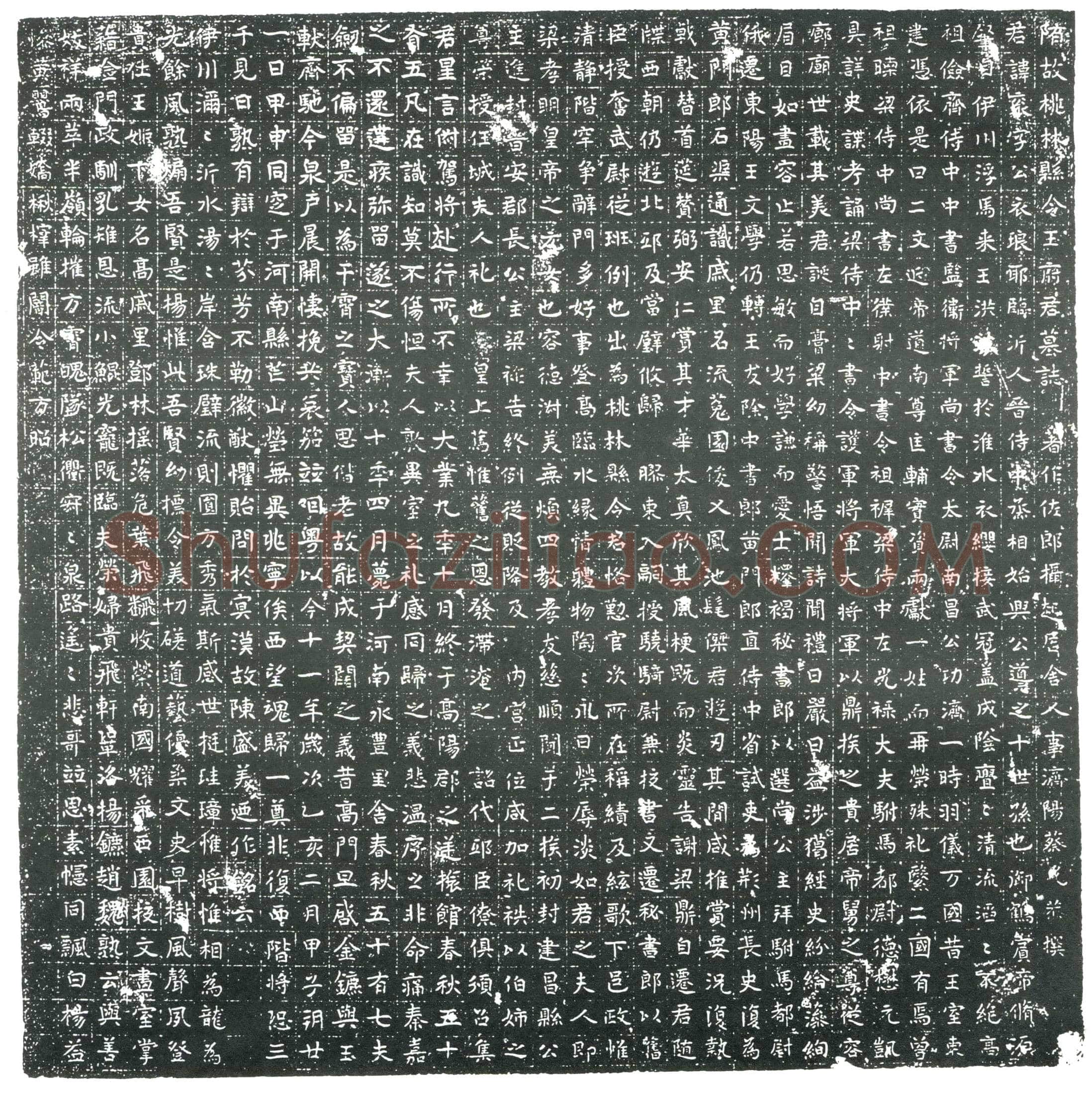 隋王衮；王衮妻萧氏墓誌(隋故桃林县令王府君墓誌)