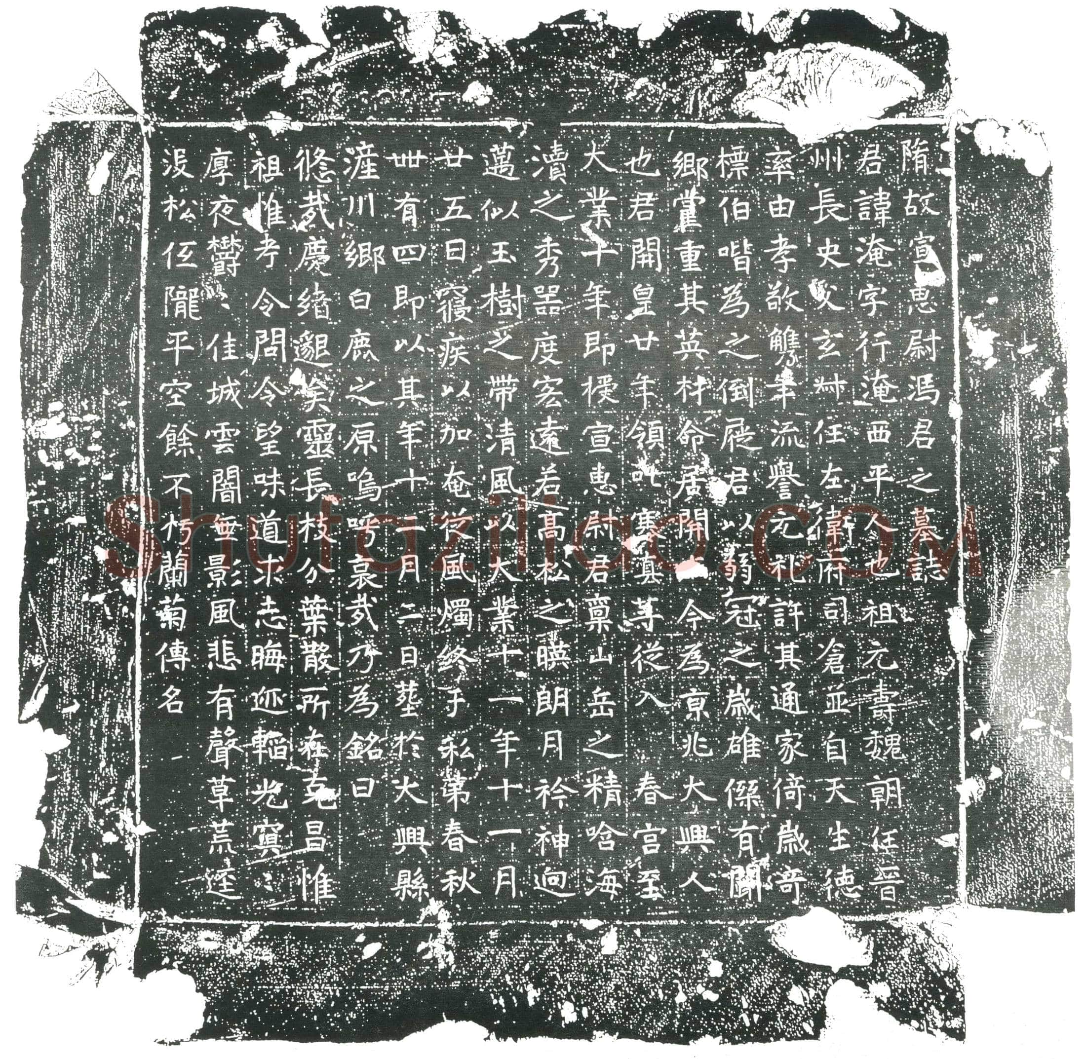 隋 殄寇将军王赞府 墓誌