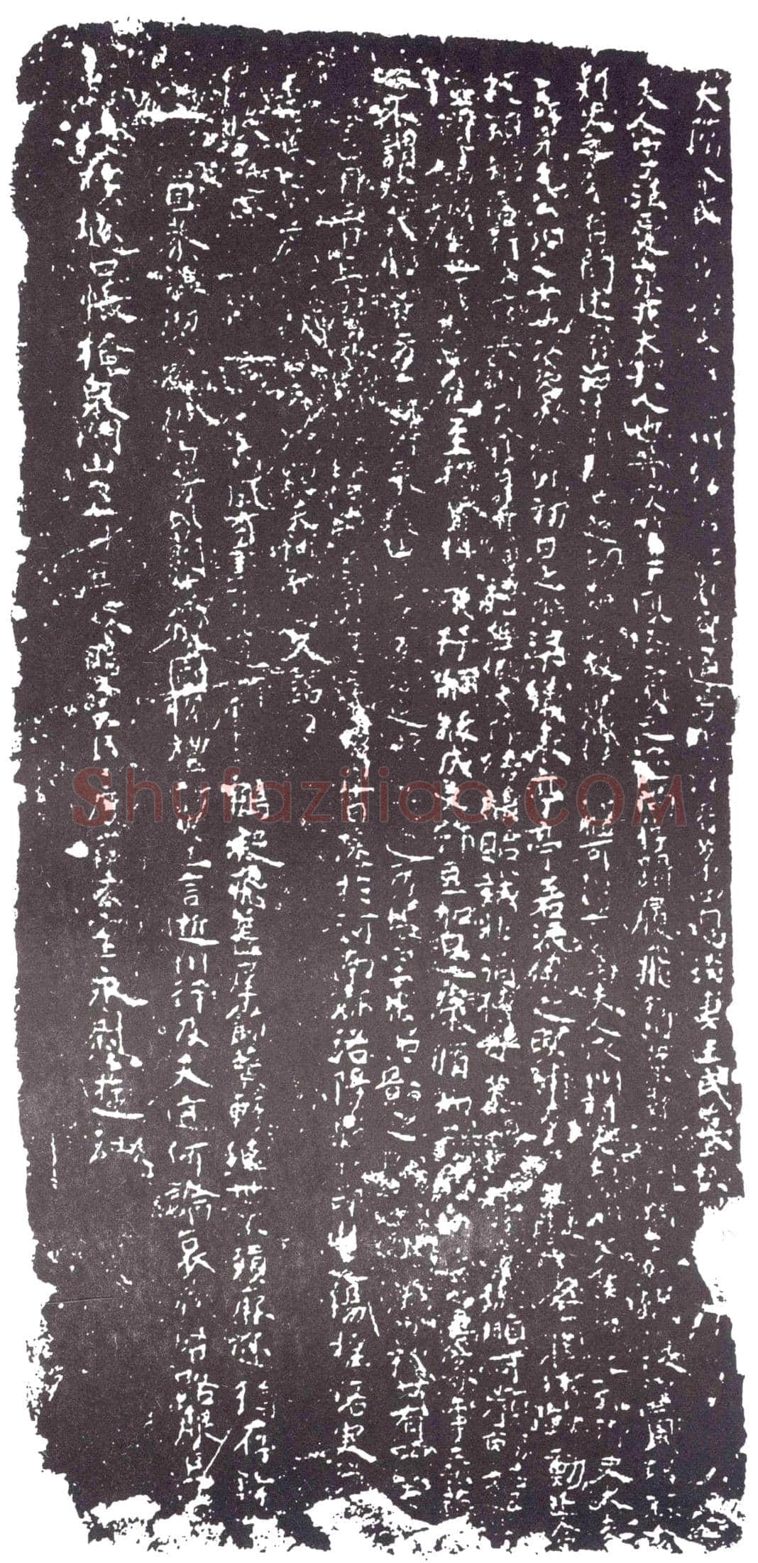 隋王法爱墓誌(大隋金紫光禄大夫潭州总管江都郡通守张府君第四息琰妻王氏墓誌铭)