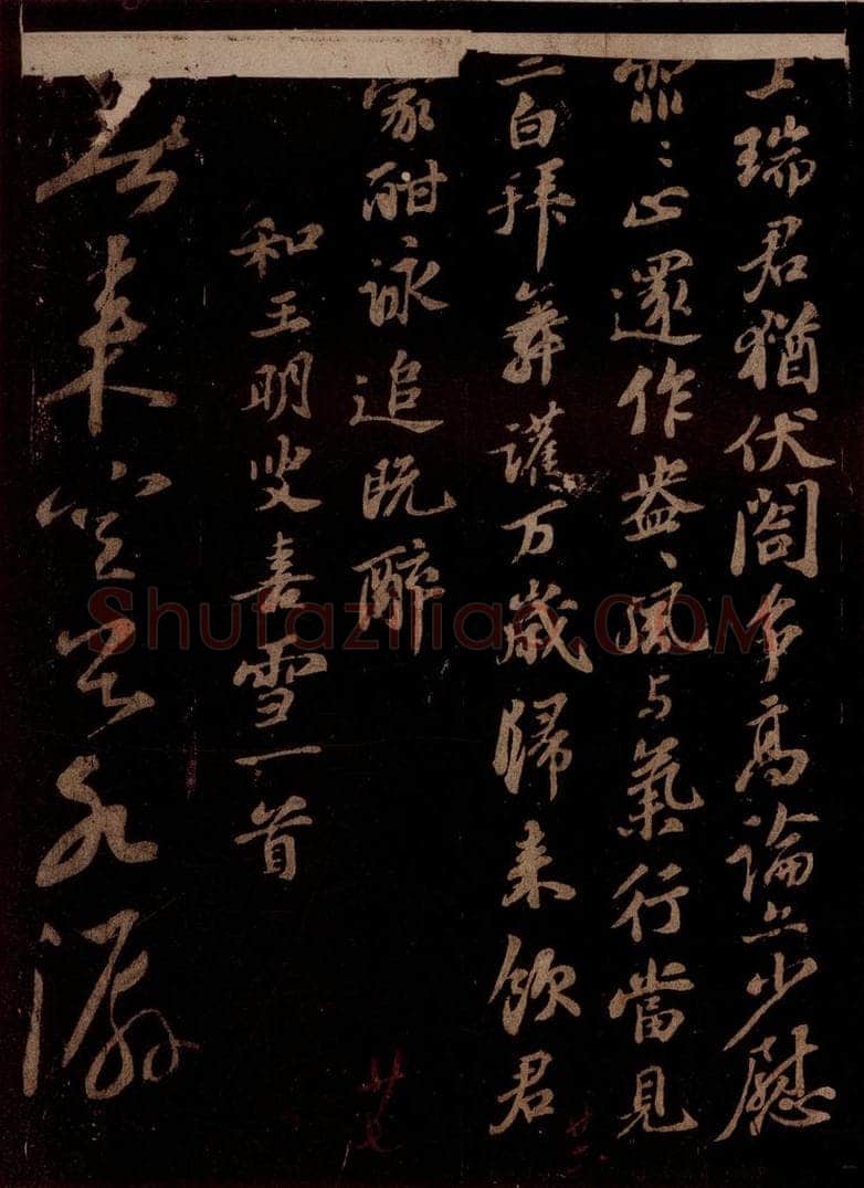 宋 苏轼 题梅花之一之一 书法作品