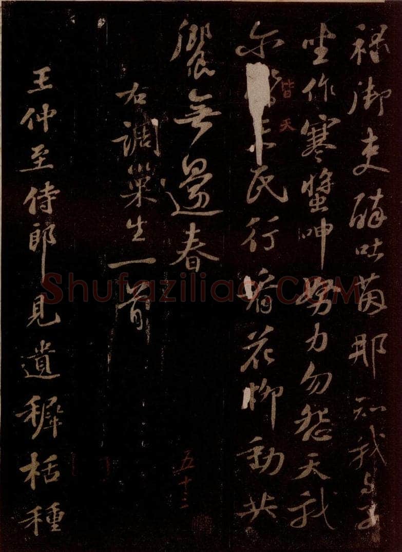宋 苏轼 王仲至侍郎见遗穉栝种之仪曹北垣下今百余日矣,蔚然有生意,喜而赋诗呈淳父内翰 之一 书法作品