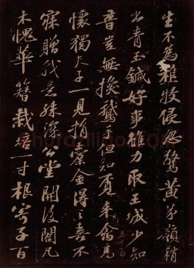 宋 苏轼 王仲至侍郎见遗穉栝种之仪曹北垣下今百余日矣,蔚然有生意,喜而赋诗呈淳父内翰 之三 书法作品