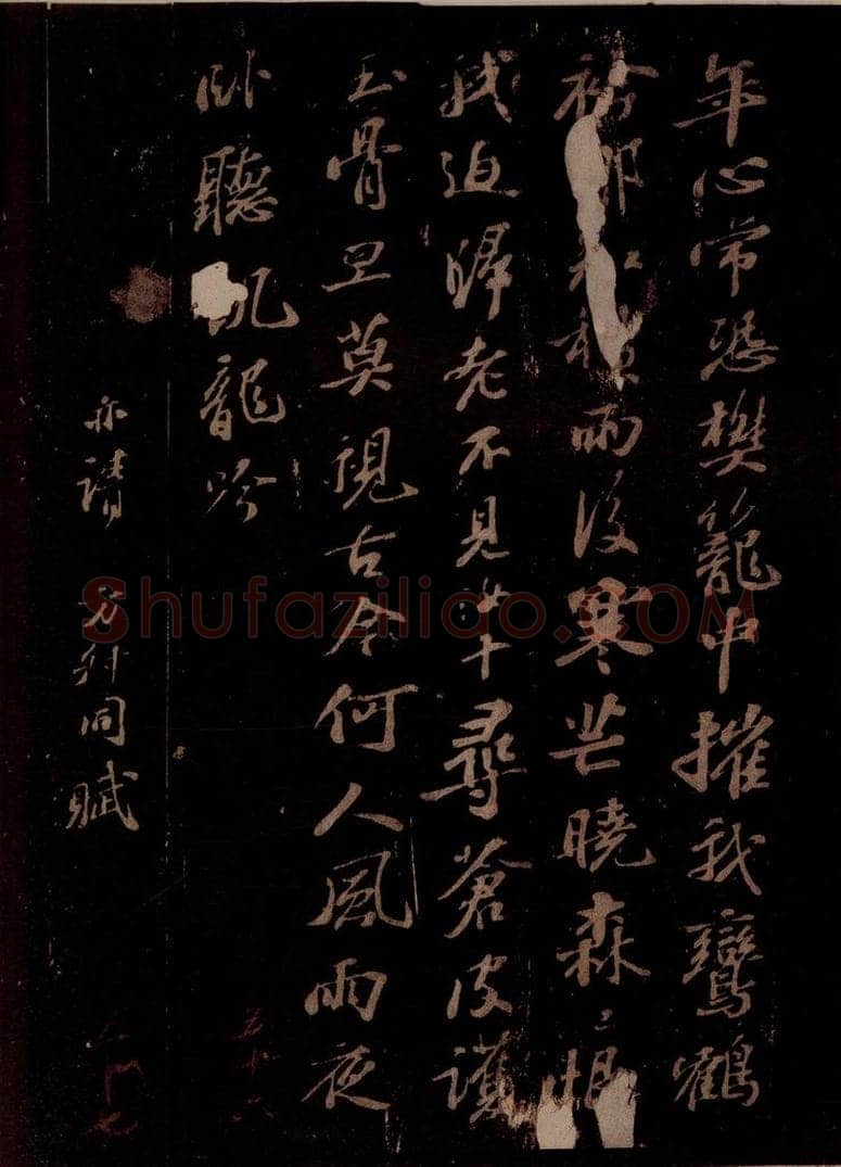 宋 苏轼 王仲至侍郎见遗穉栝种之仪曹北垣下今百余日矣，蔚然有生意，喜而赋诗呈淳父内翰 之四 书法作品