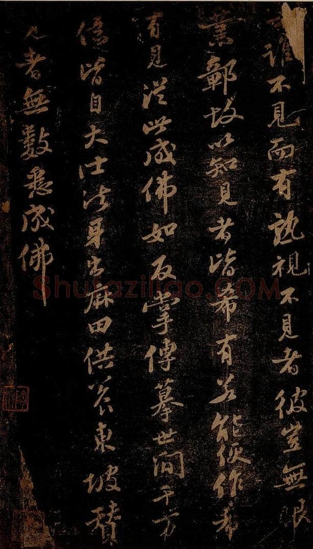 北宋 苏轼 《普照王像赞》之二 书法作品