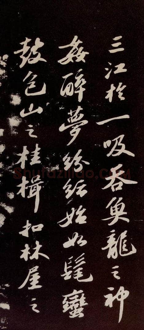 宋代 苏轼 《洞庭春色赋》之八 书法作品