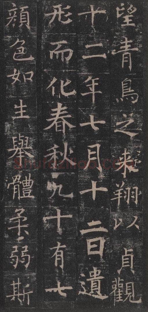 642唐 褚遂良 《孟法师碑》之十九 书法作品