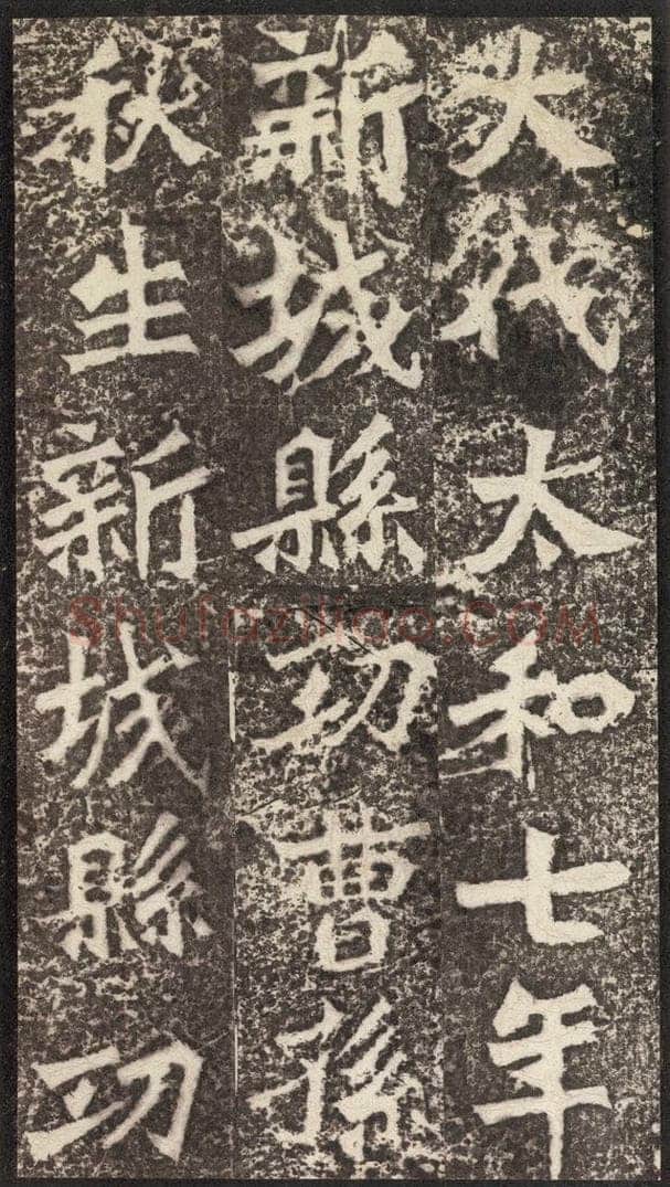 北魏  《孙秋生造像记》之三 书法作品