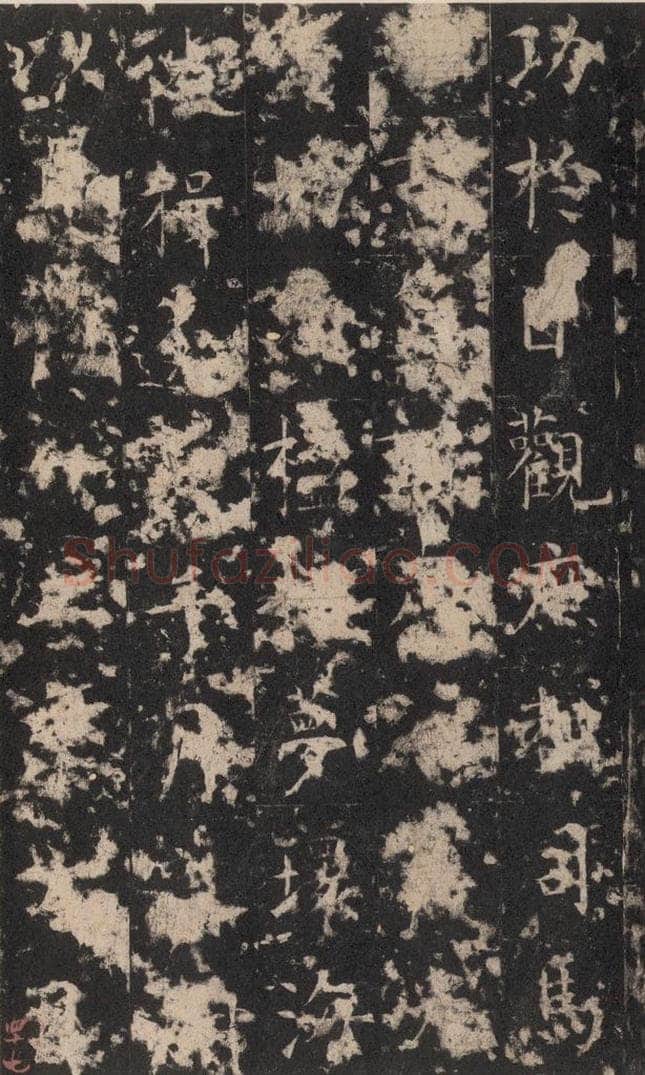 648唐 孔颖达 《孔颖达碑》之四十九 书法作品