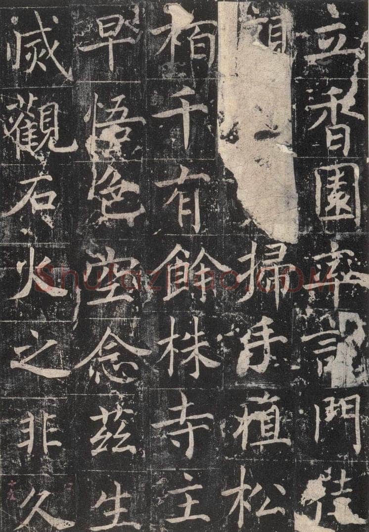 725唐 魏栖梧 《善才碑帖》之二十 书法作品