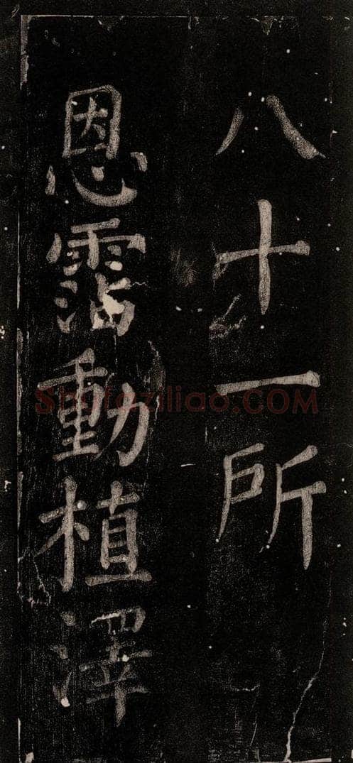 公元774年唐代 颜真卿 《乞题放生池额表》之十二 书法作品