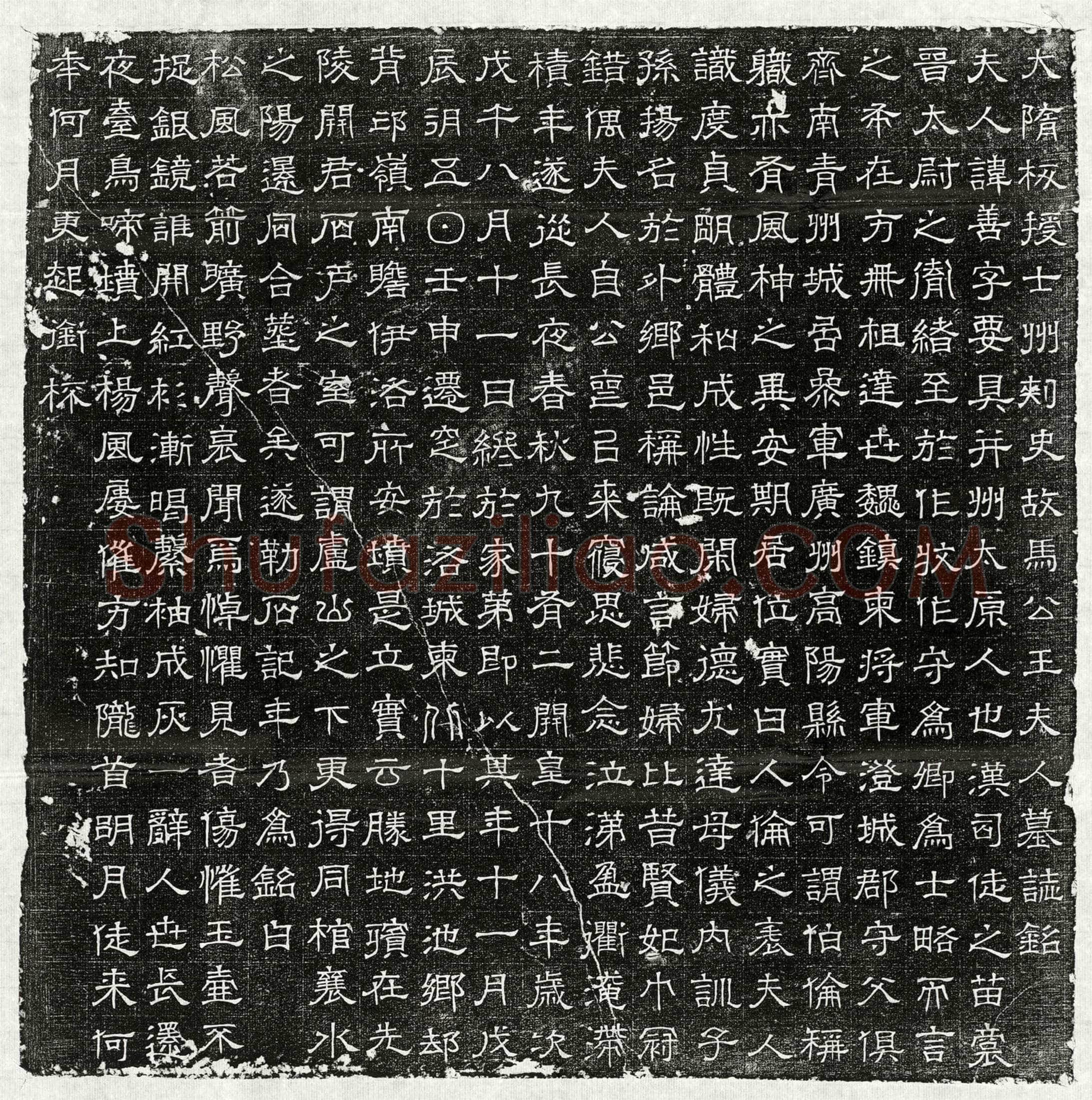 隋马君妻王善墓誌(大隋板授士州刺史故马公王夫人墓誌铭)