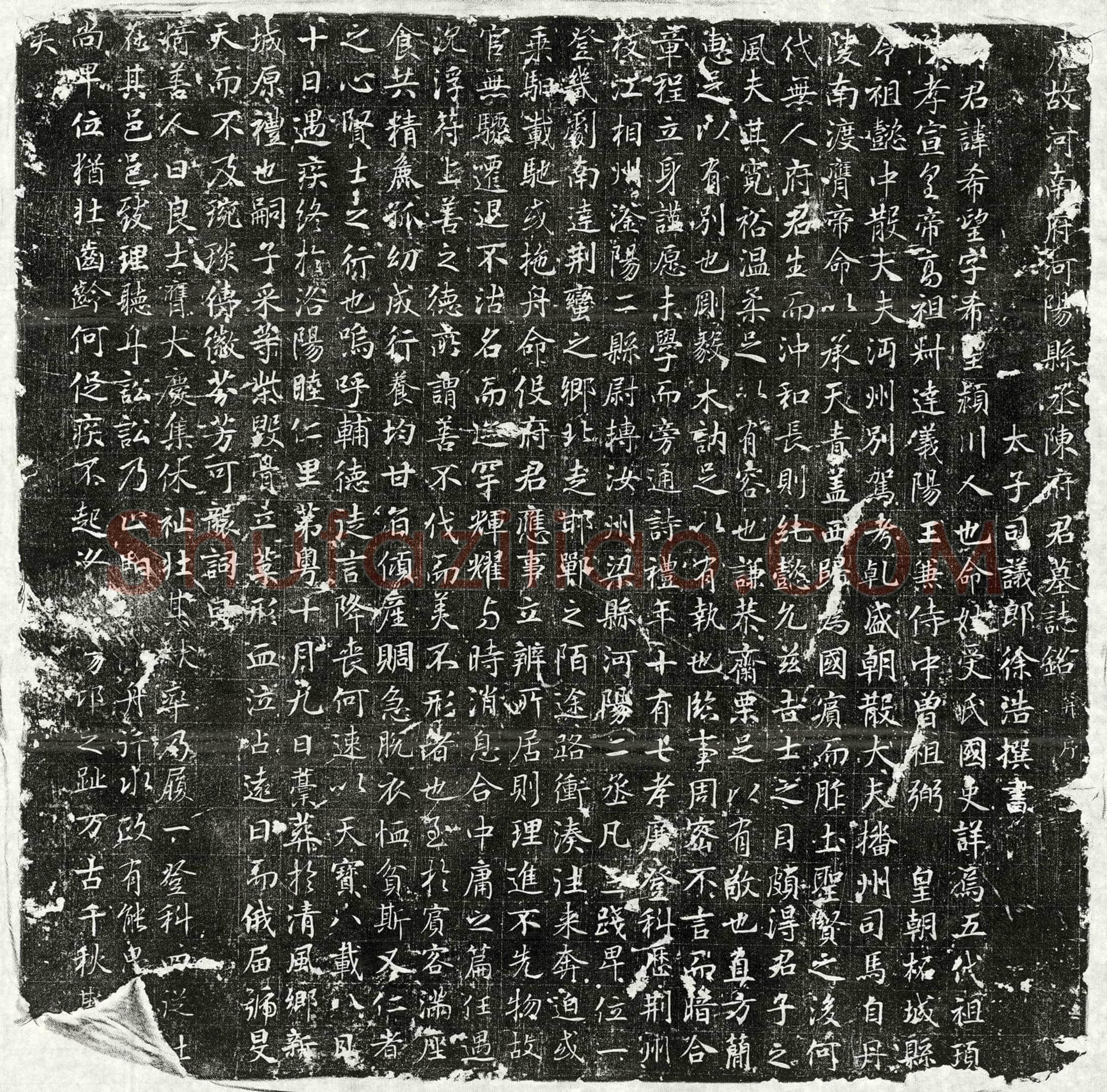 唐 陈希望 墓誌