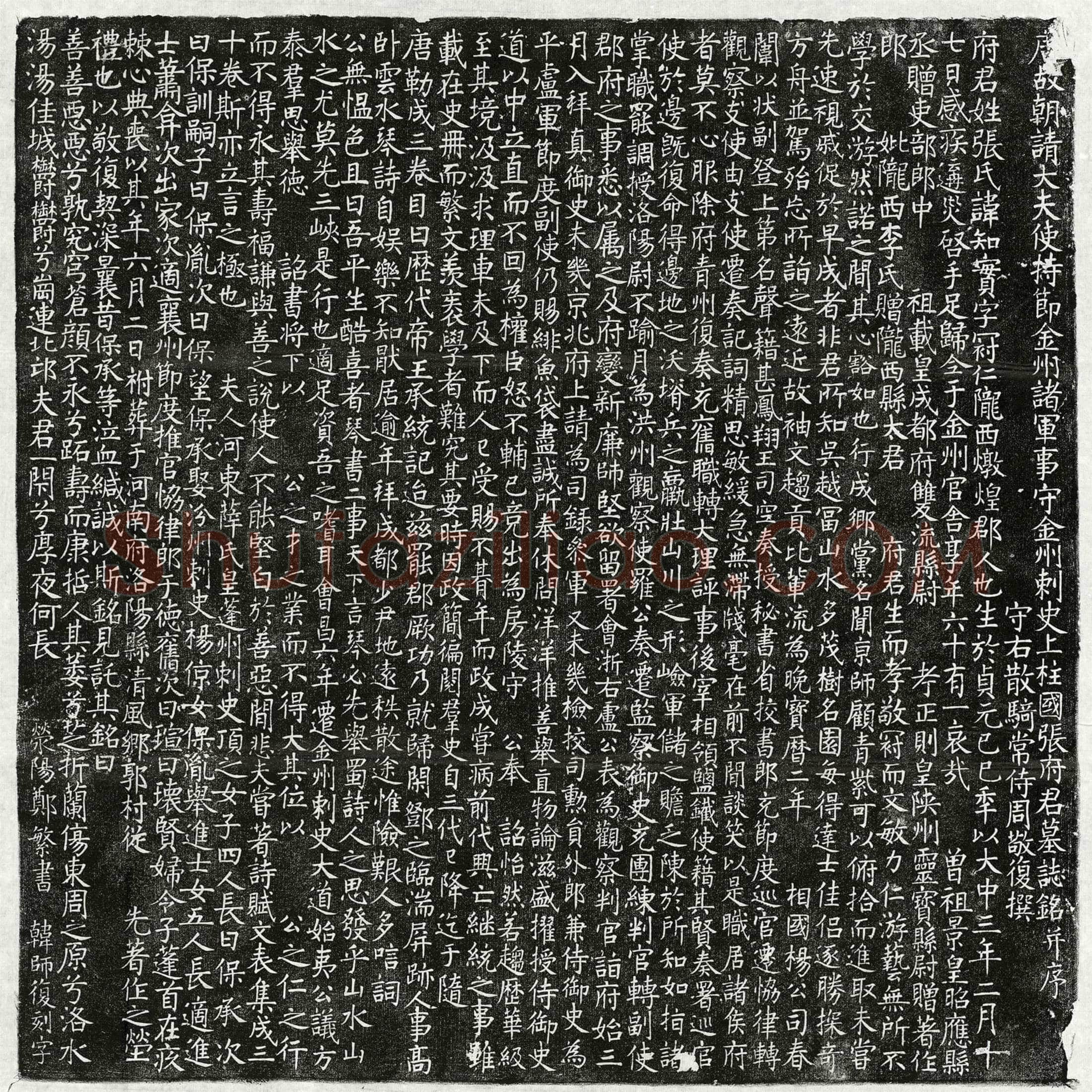 唐 张知实 墓誌