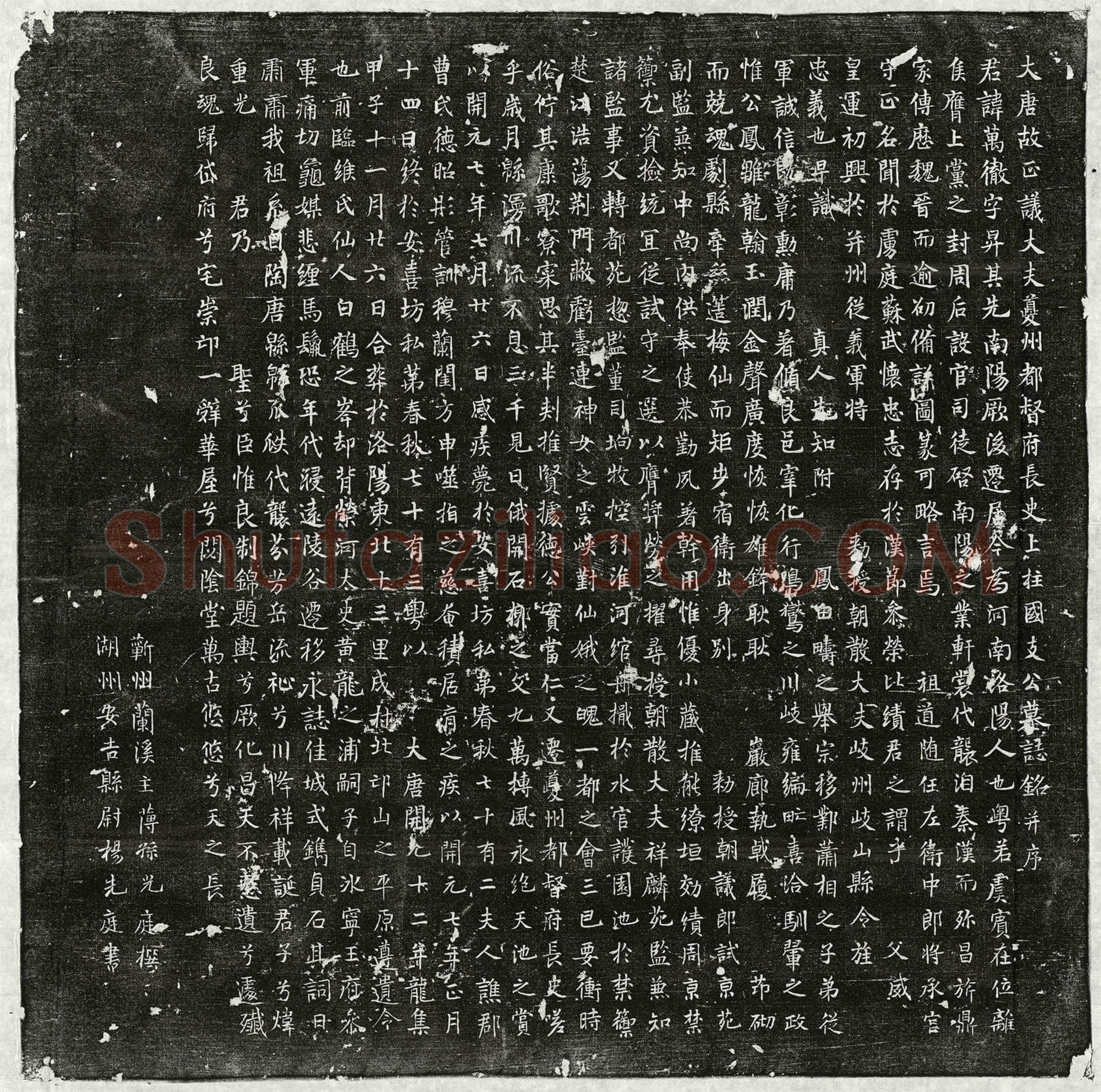 唐支万彻墓誌(大唐故正议大夫夔州都督府长史上柱国支公墓誌铭并序)