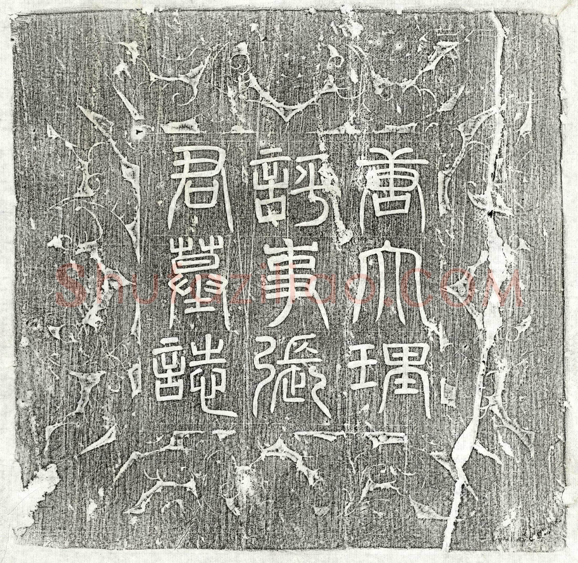 唐 张招 墓誌