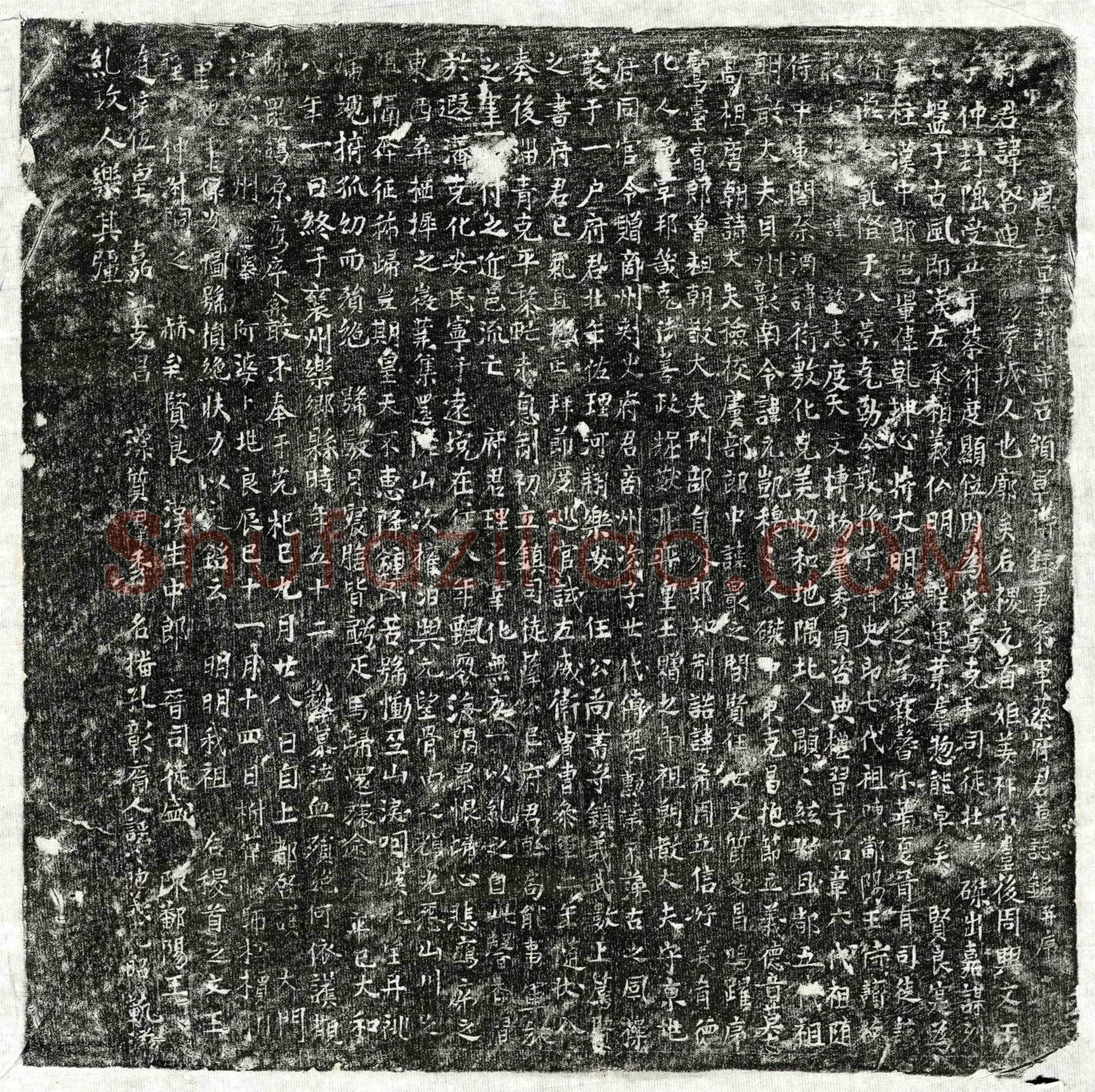 唐蔡启迪墓誌(唐故宣义郎守右领军卫录事参军蔡府君墓誌铭并序)