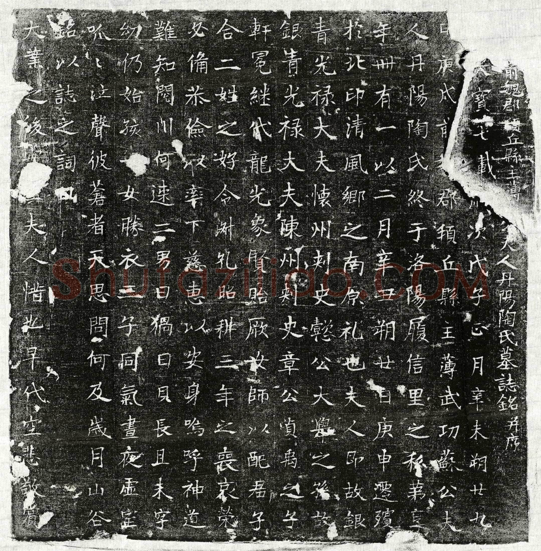 唐苏君妻陶氏墓誌(【/】前魏郡顿丘县主簿【苏】公夫人丹阳陶氏墓誌铭并序)