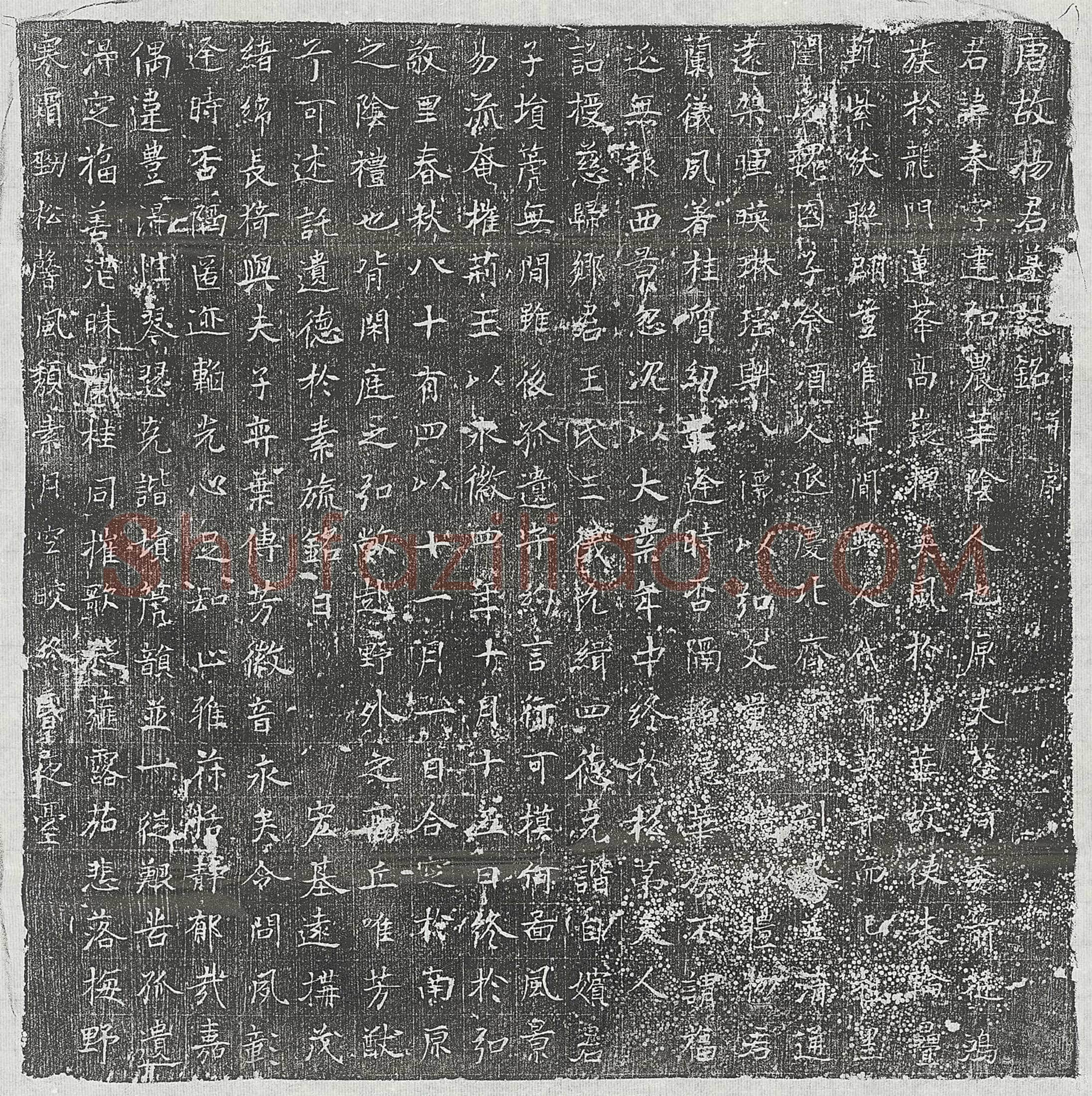 唐 杨奉 墓誌