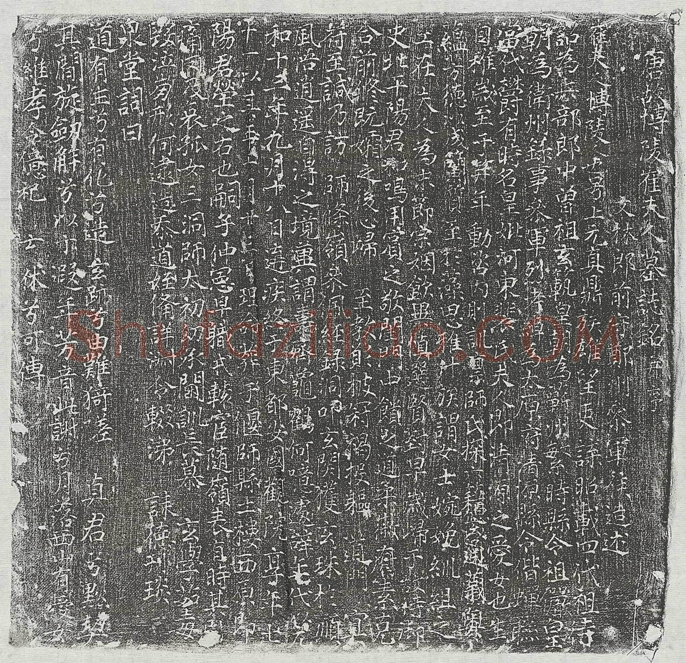 唐 阳君妻崔上元真 墓誌