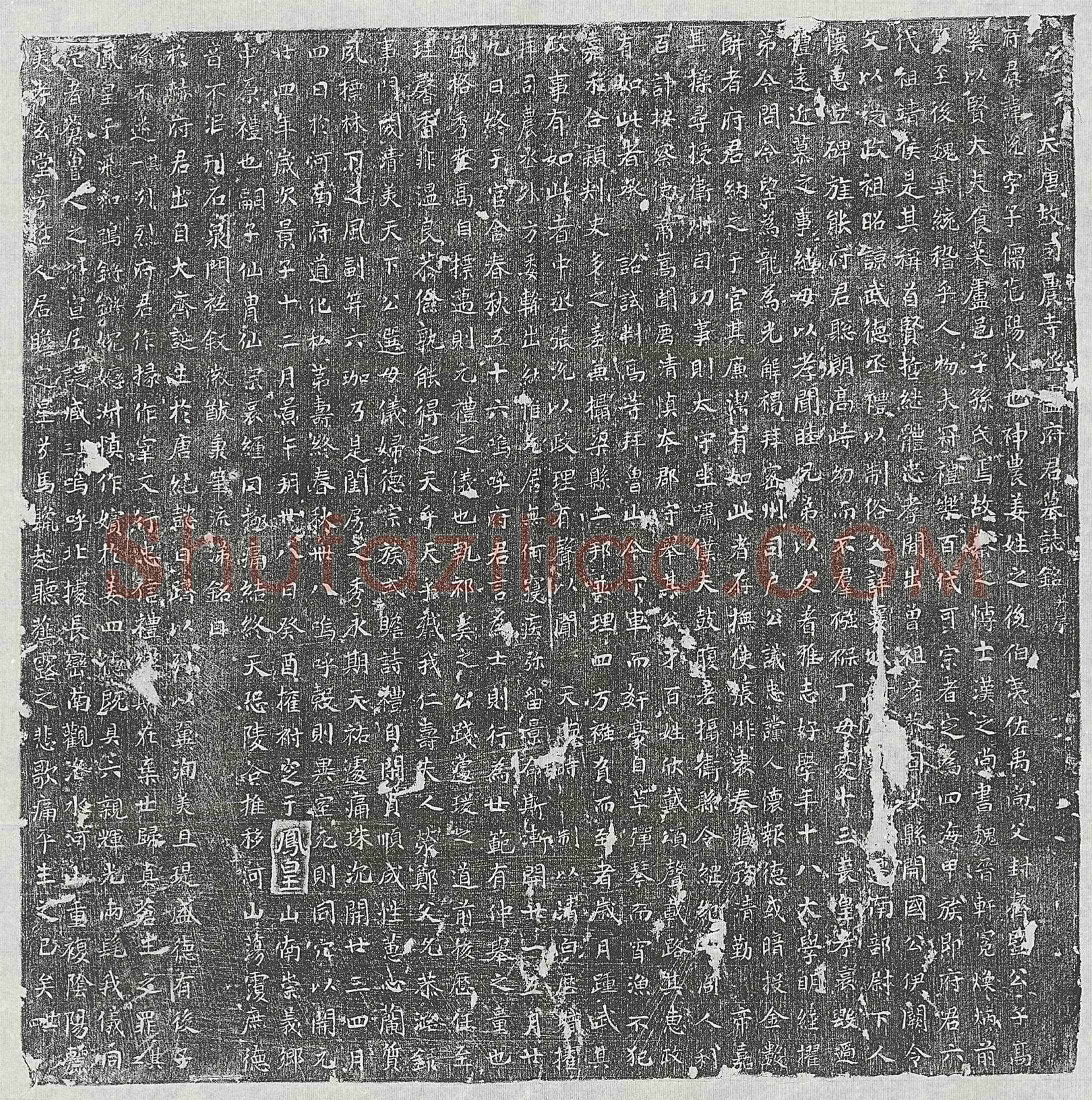 唐卢悦墓誌(大唐故司农寺丞卢府君墓誌铭并序)