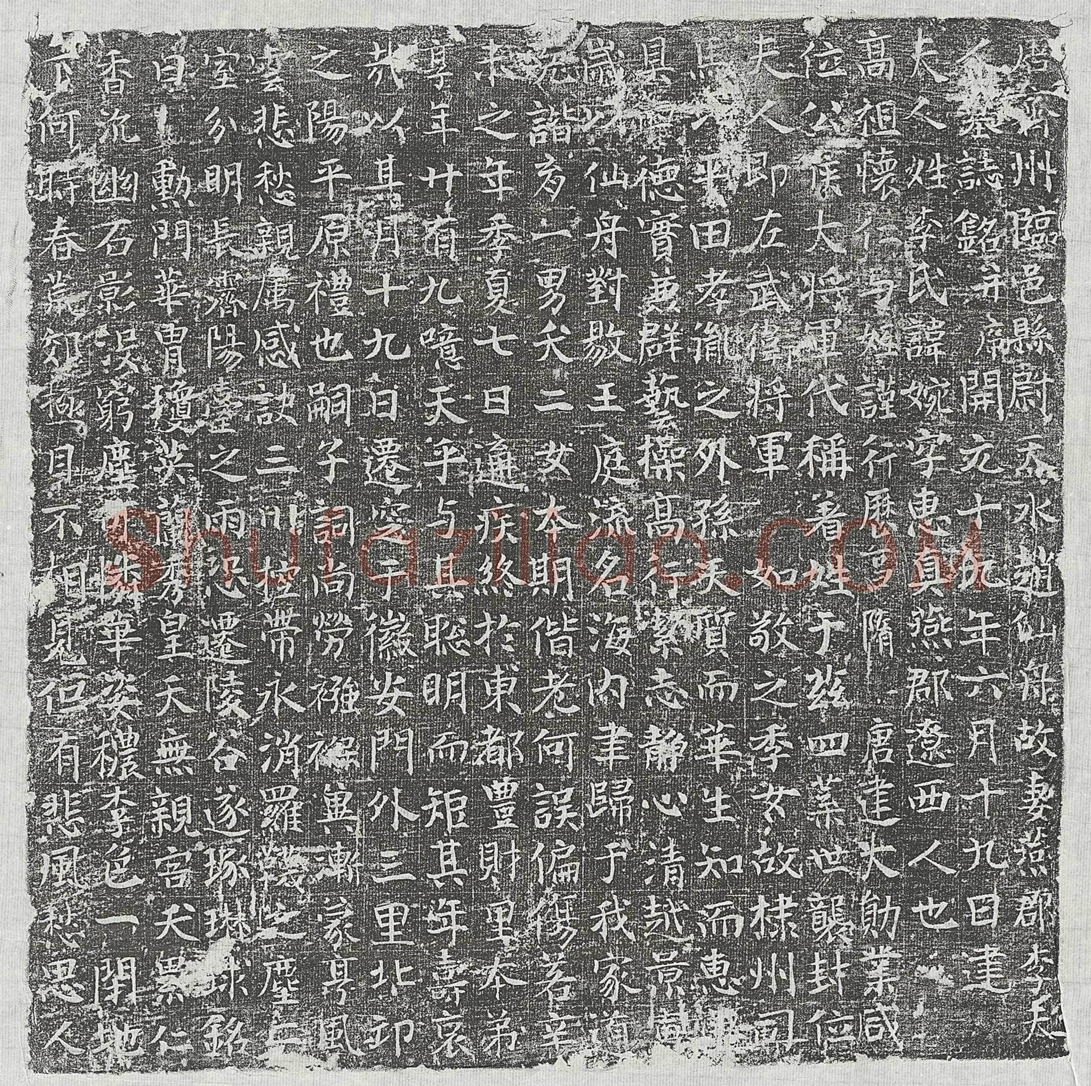 唐 赵仙舟妻李婉 墓誌