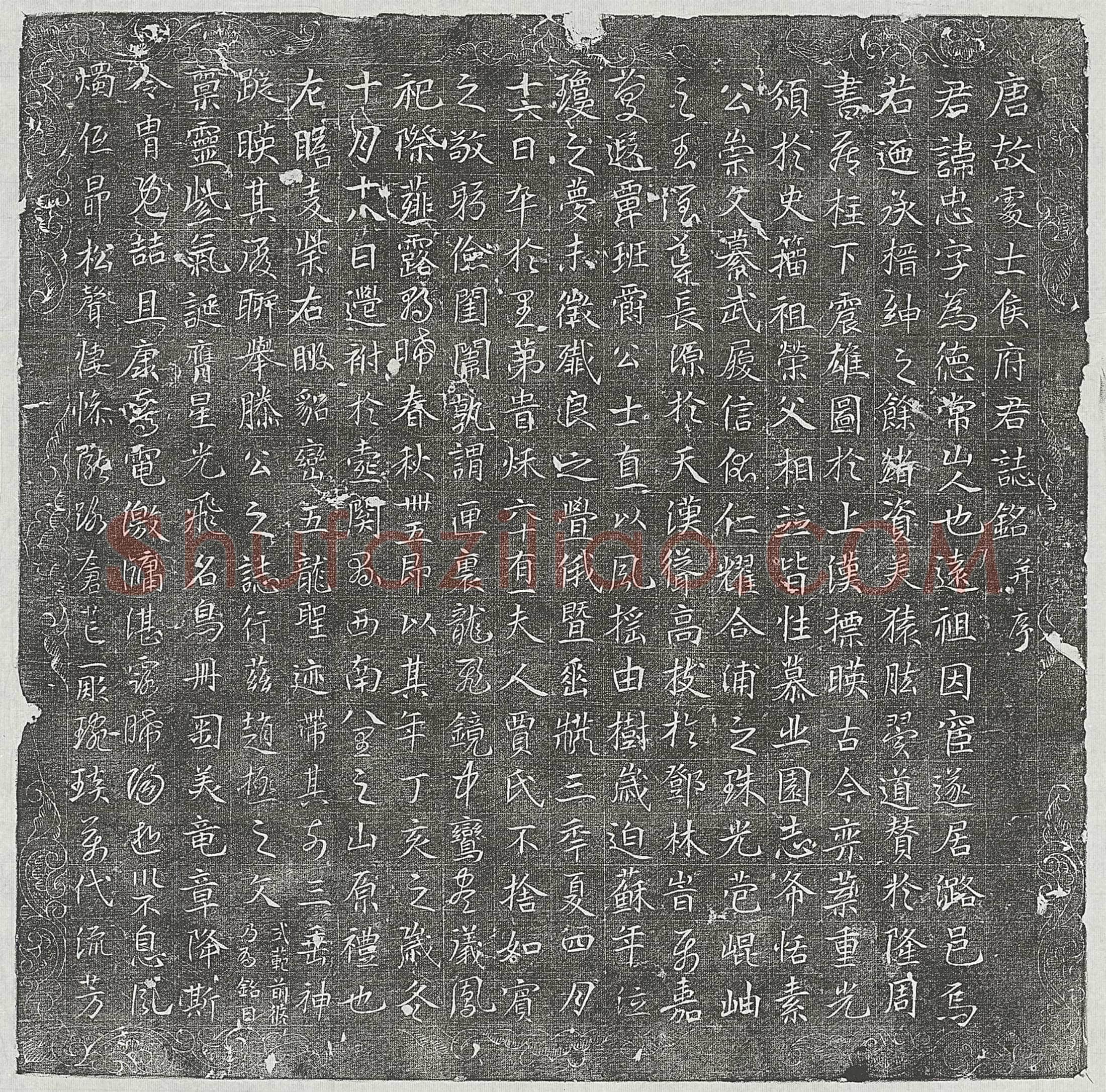 唐侯忠墓誌(唐故处士侯府君誌铭并序)
